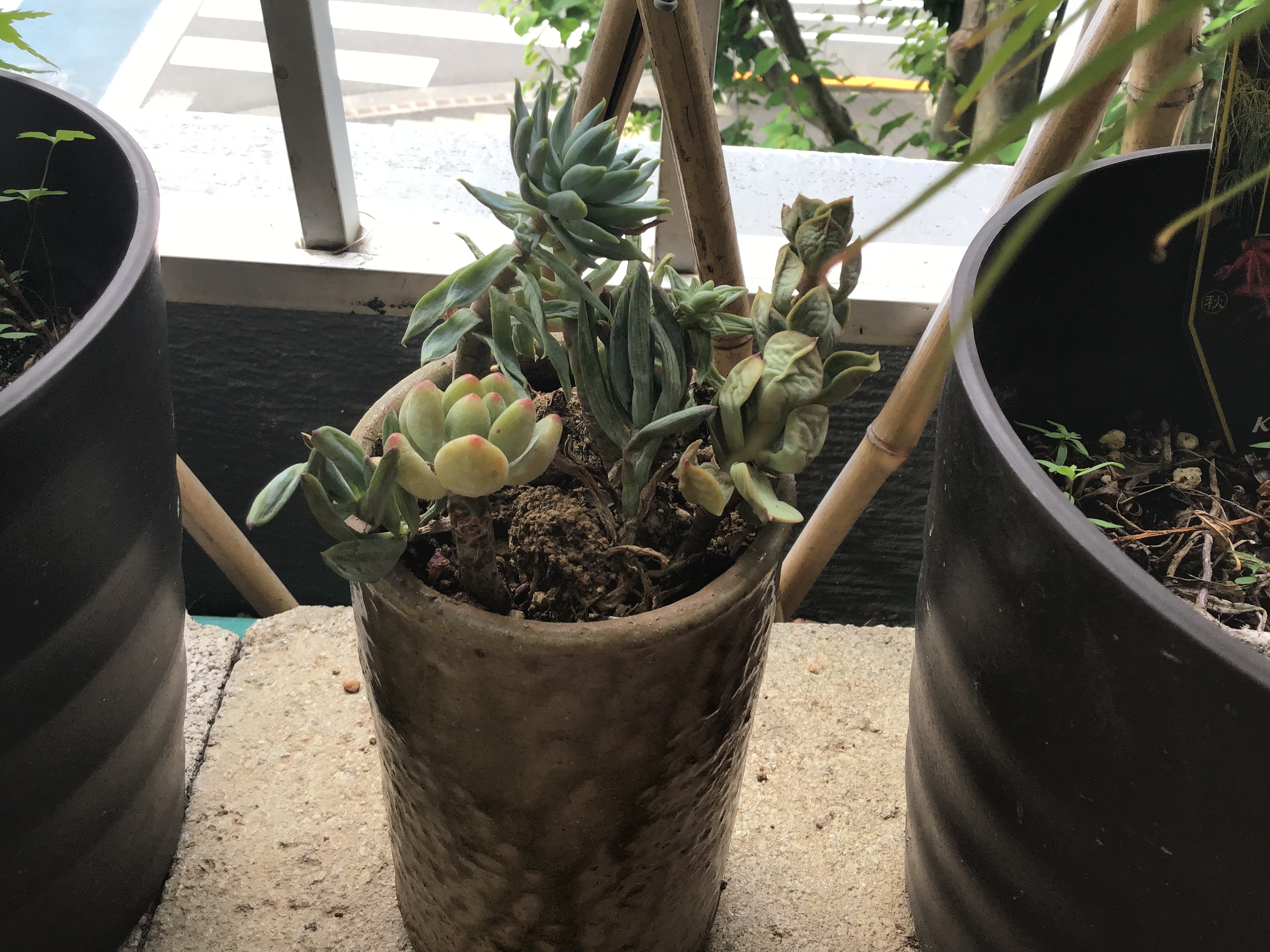 ceb96a65-4f80-47ca-acca-99027db76116