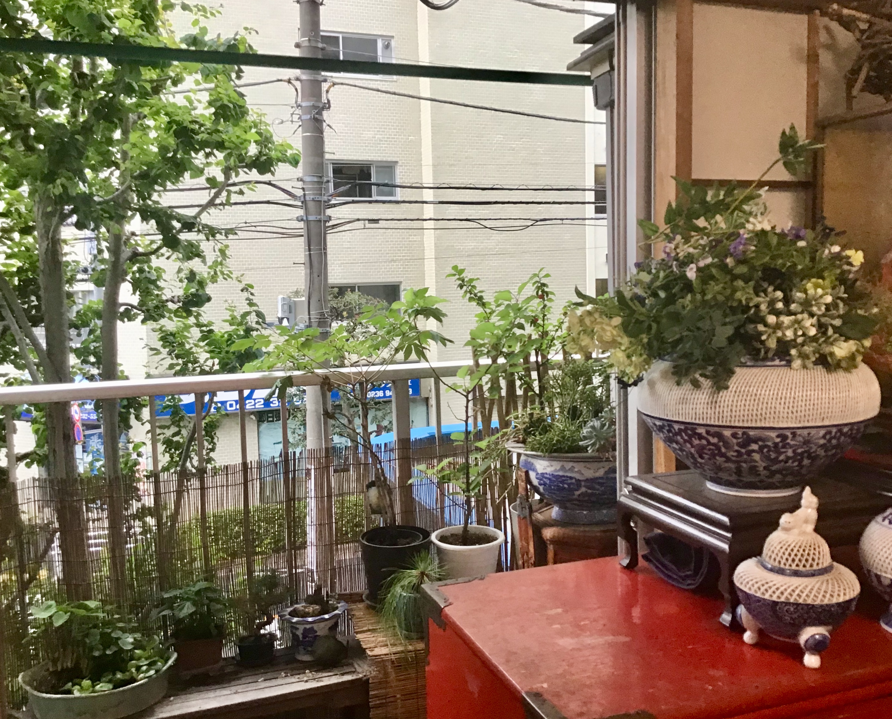 cf8f793e-0be5-4a7c-8f11-879ebb235071