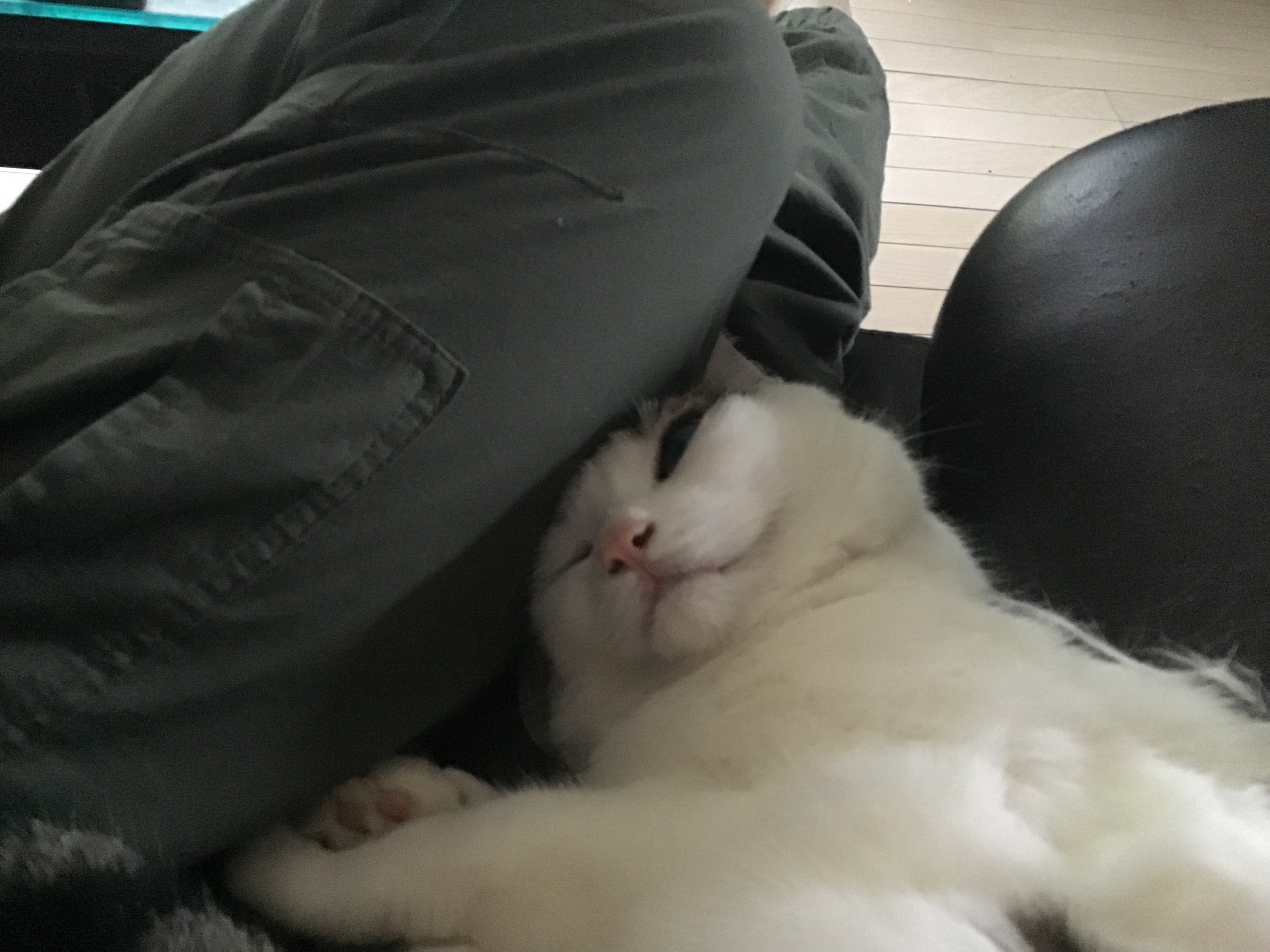 34efe686-fd77-4485-8bae-0bd228b75b39