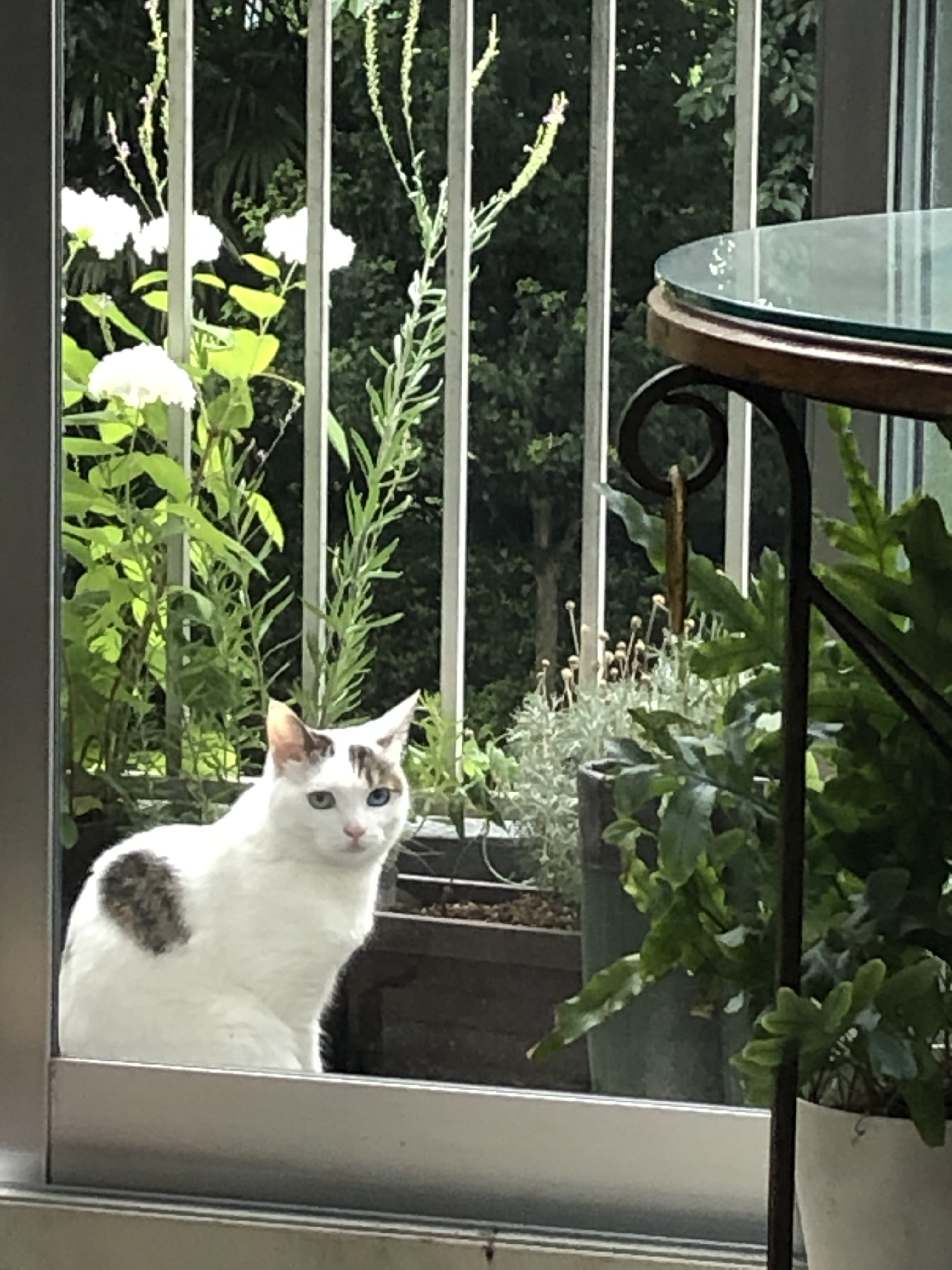 3ab36581-f3c6-4c39-9cf1-53eeef4f2dc9