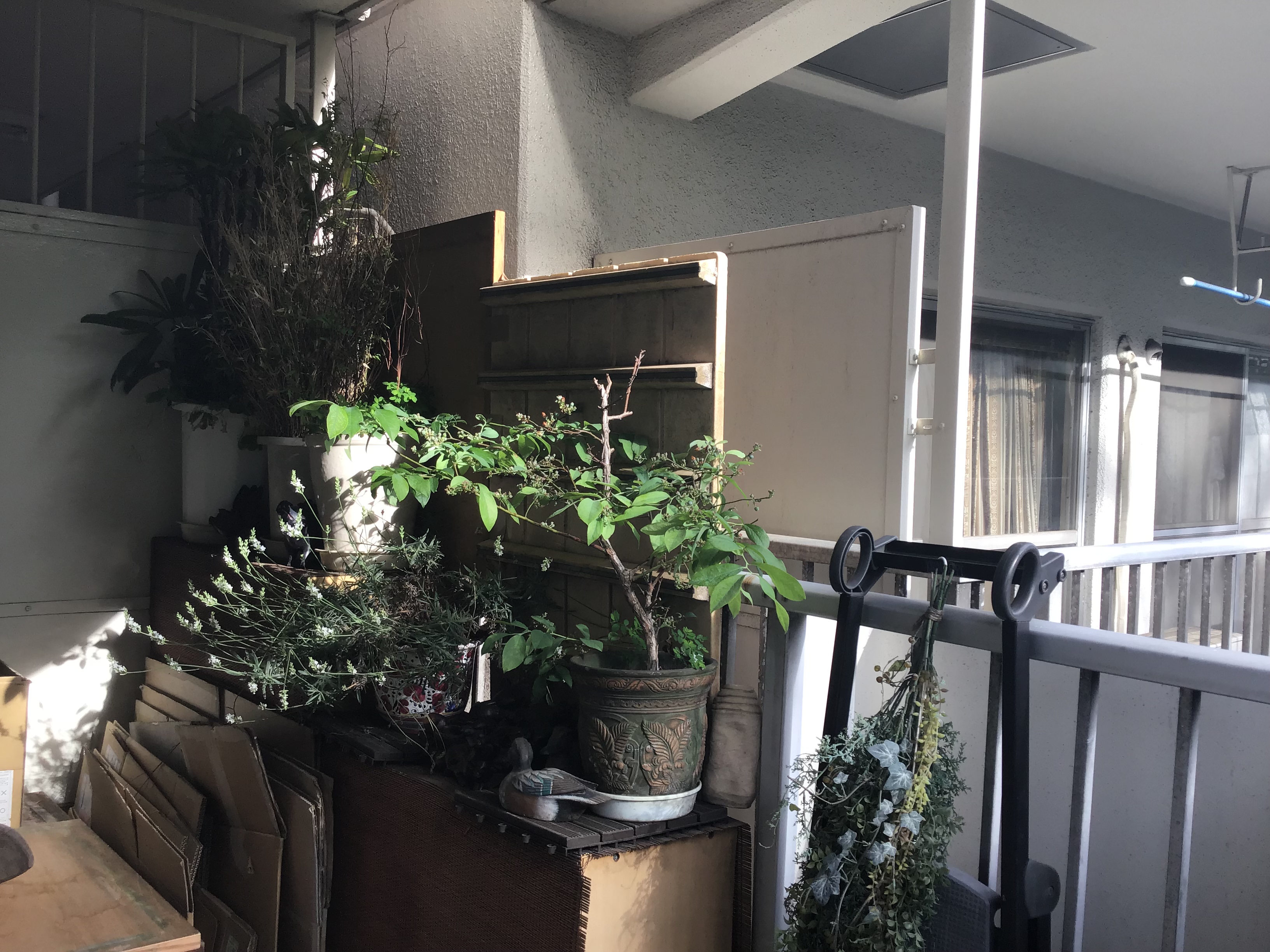 a1c7026b-441b-4ea2-8d35-9fecb4fc2b2a