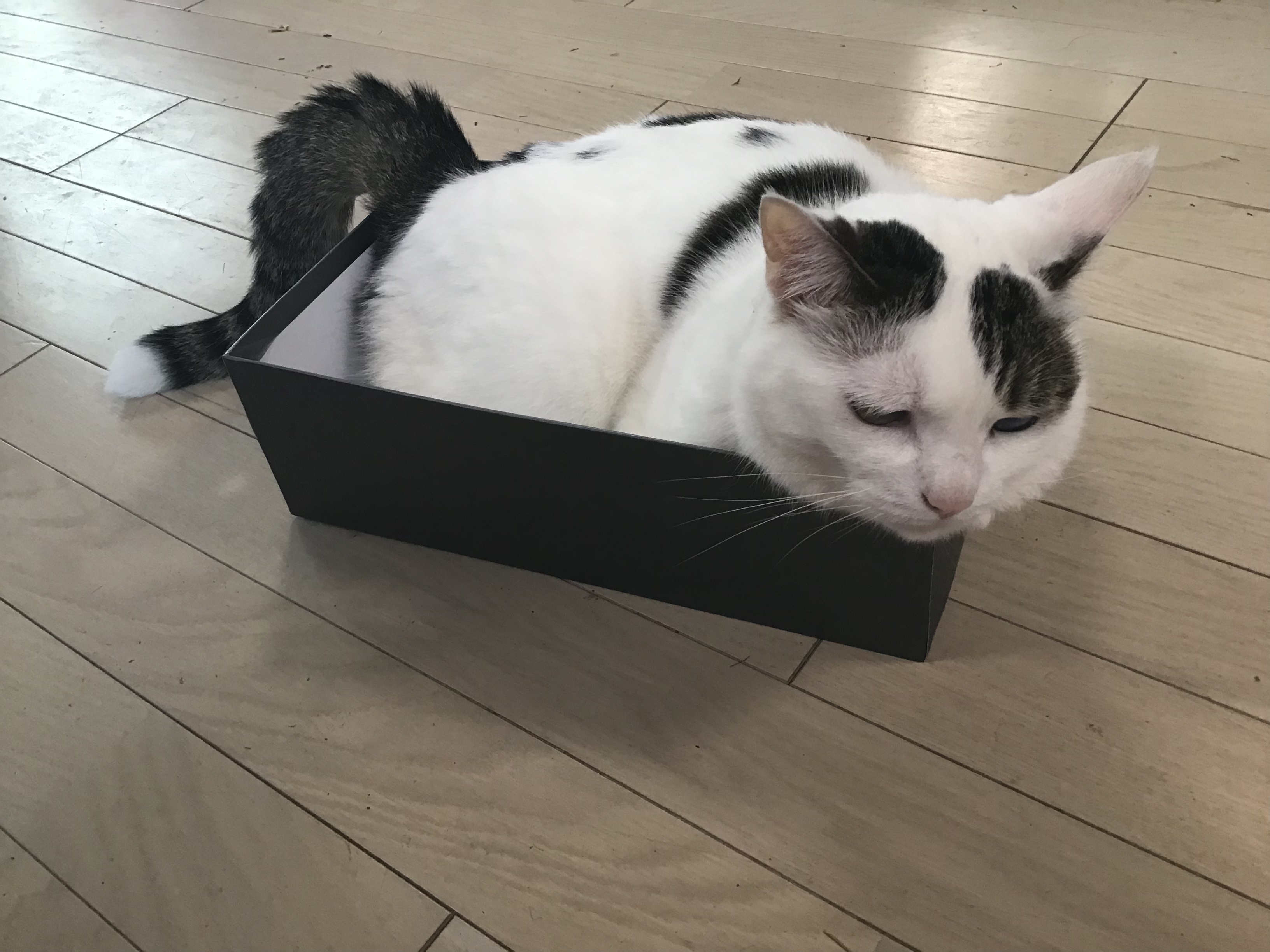 d8817fb0-1b2e-4770-95f7-4506d40909a0