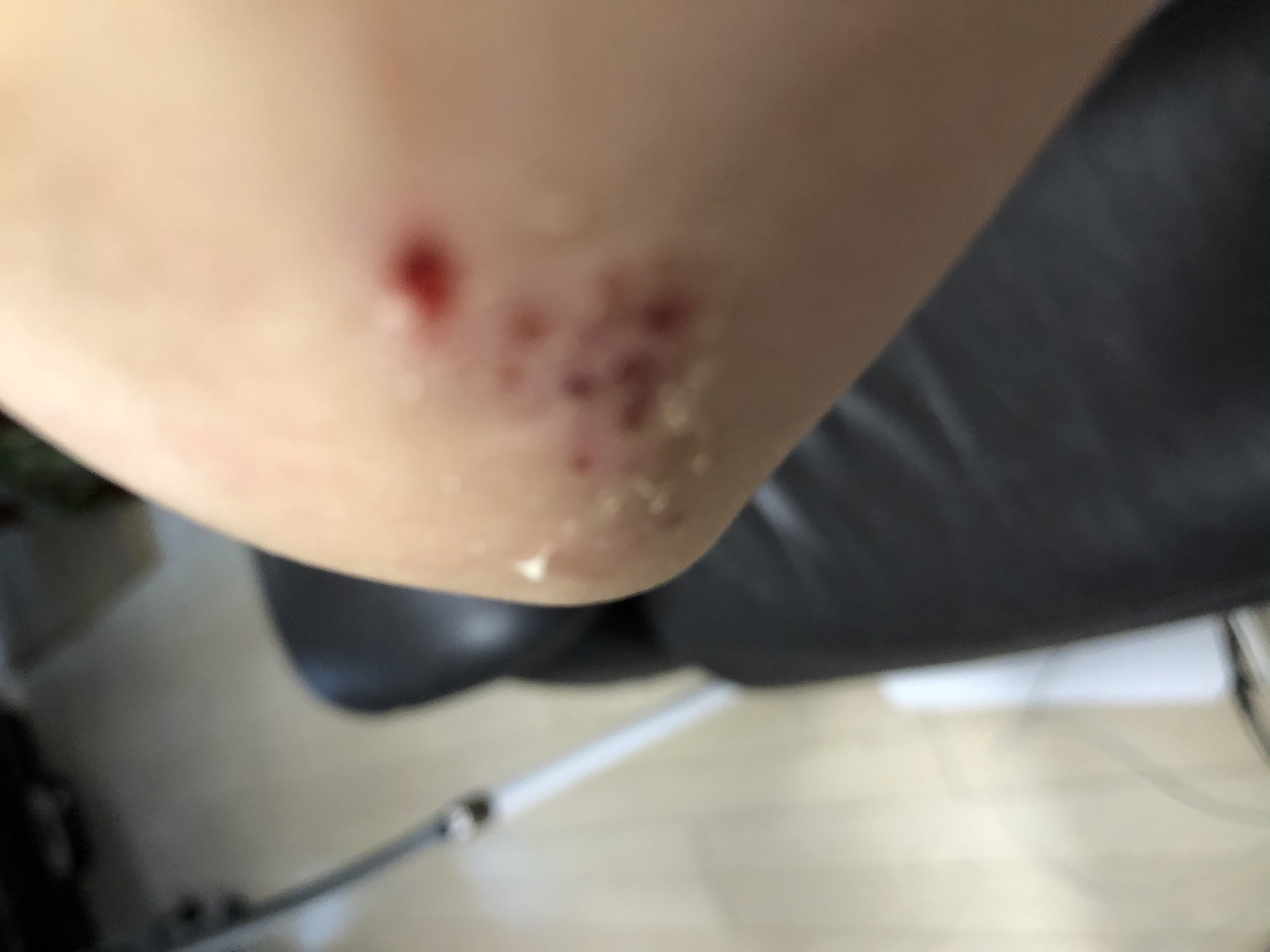 66418538-a705-4f41-b194-240098c74d05