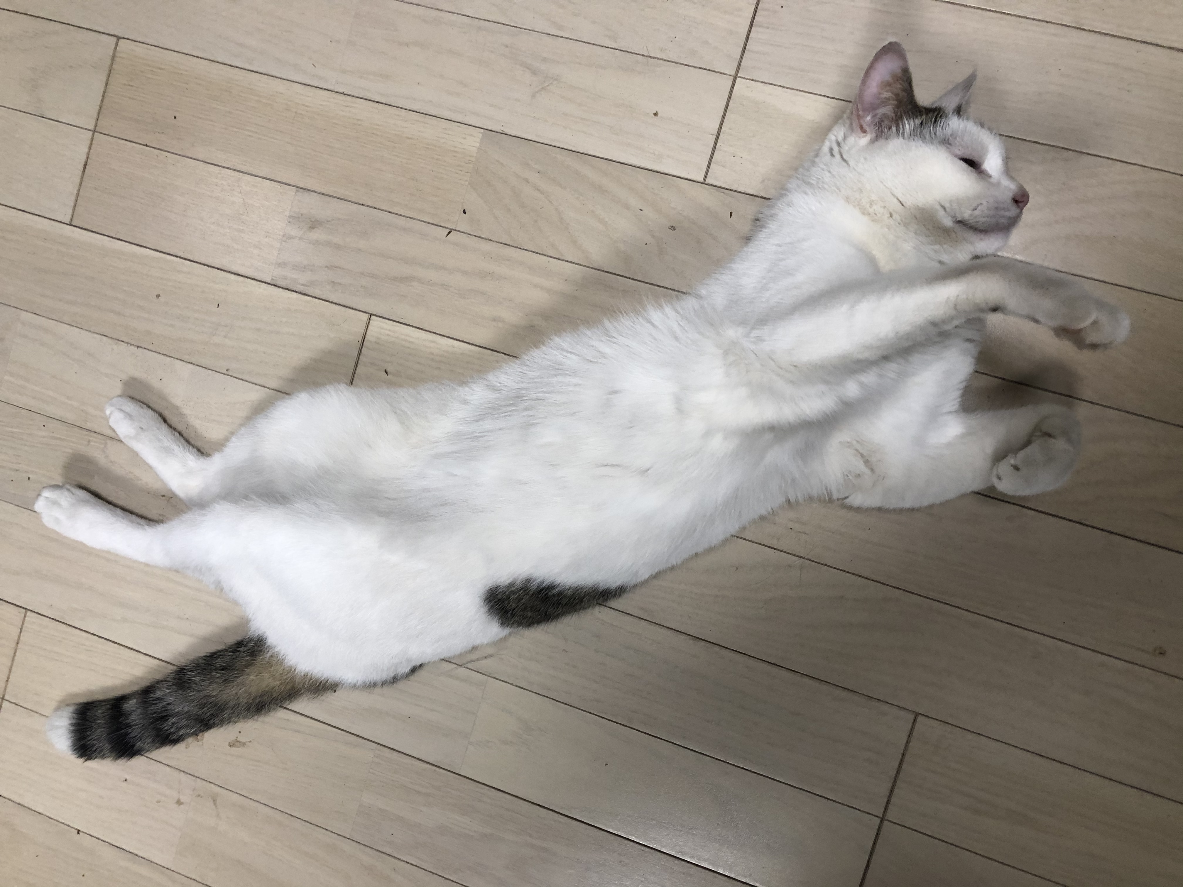 7225b993-cfbe-45cc-bb7d-a3bdb46ec047