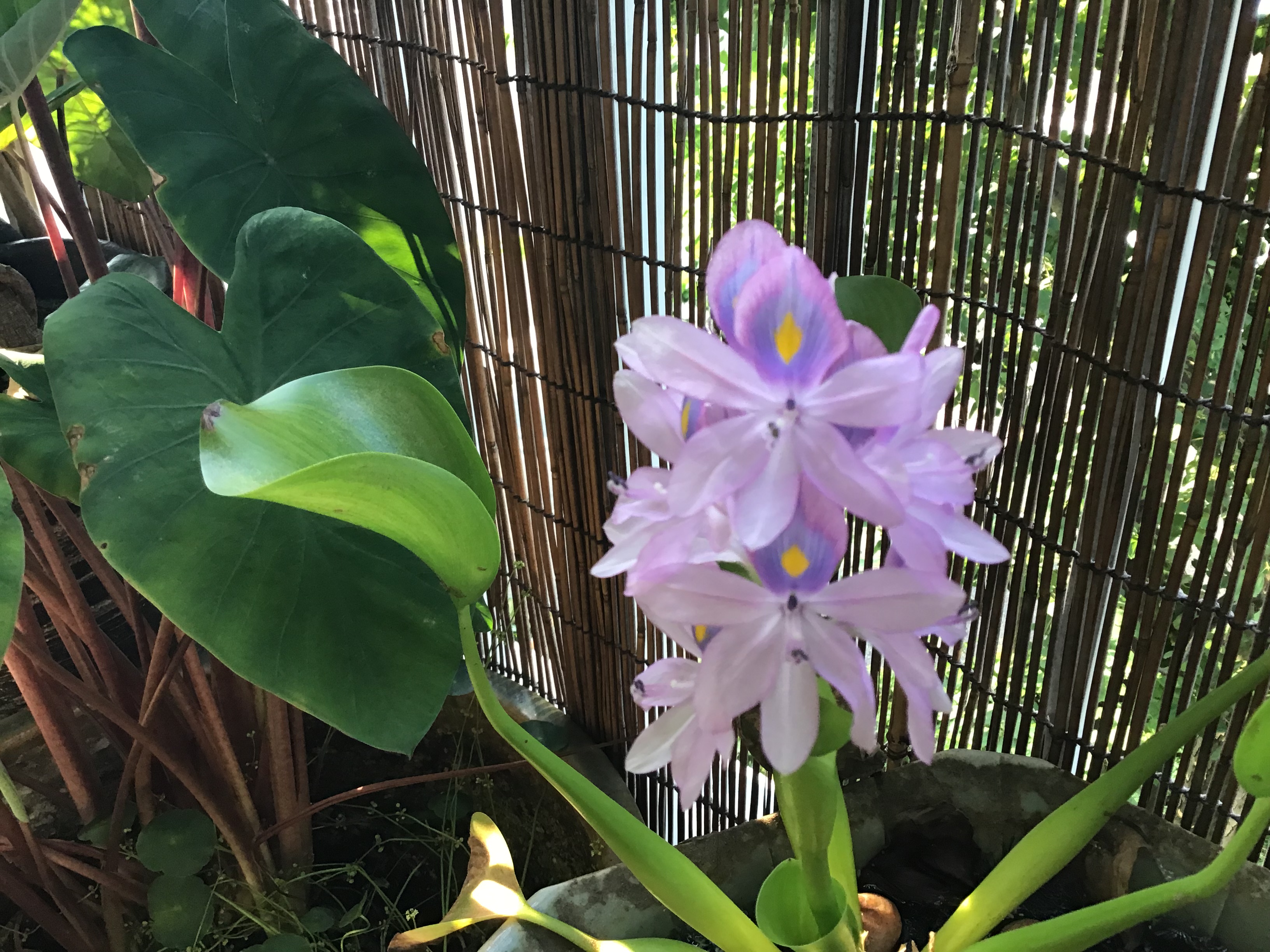 0cc5beff-f562-401d-894a-d57e4edf5378