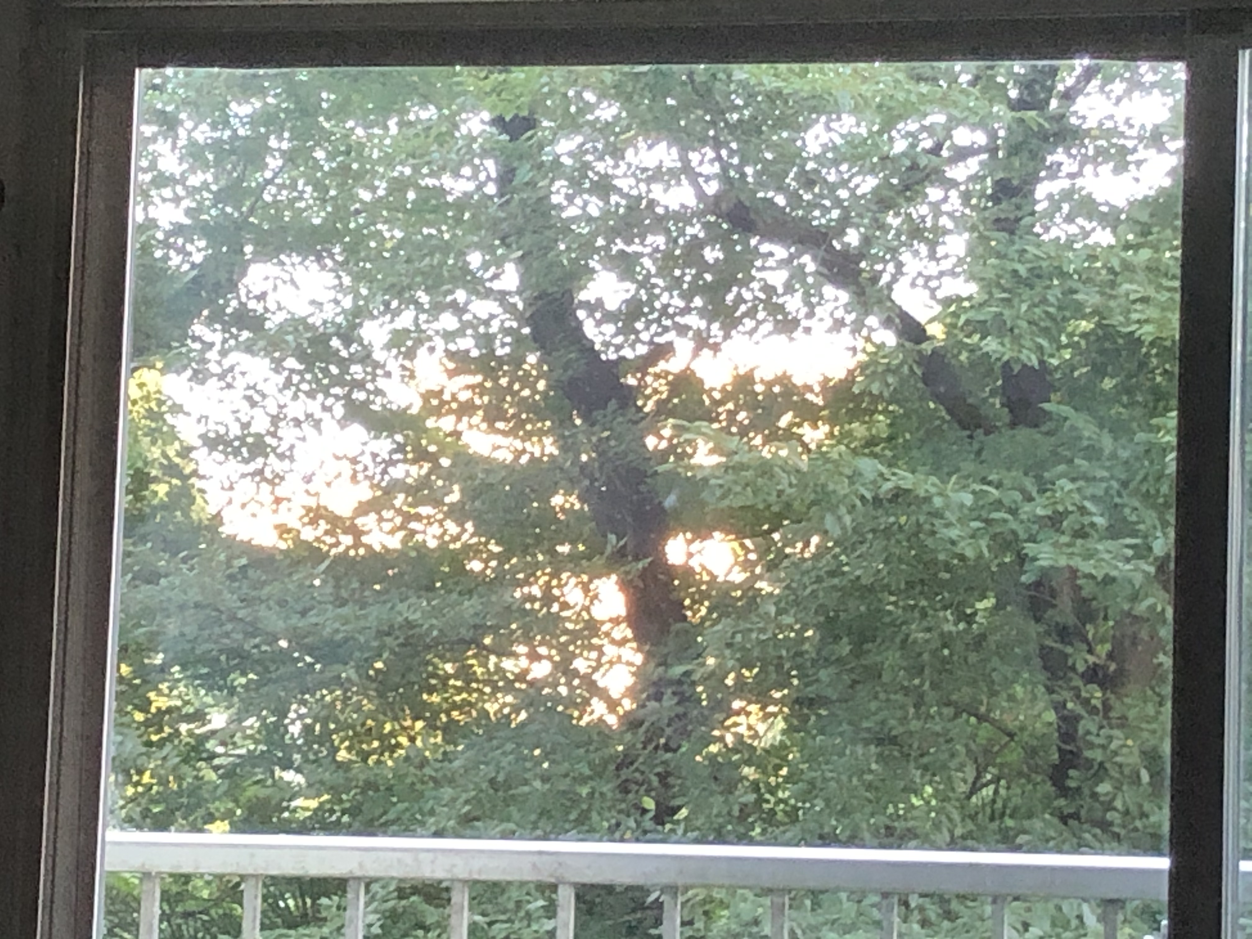 51273924-aa52-4ec7-bbca-6c0a5195cdbd