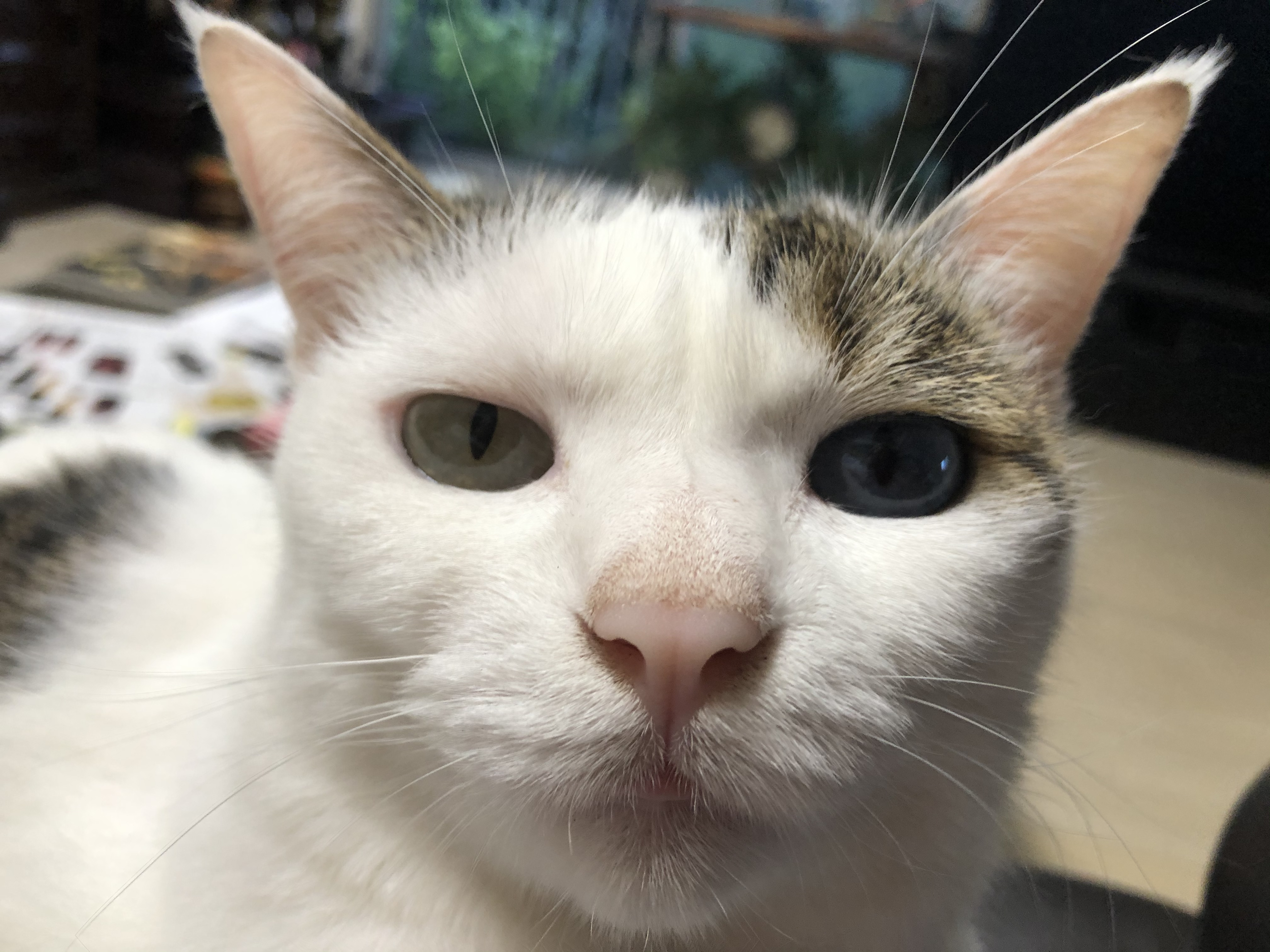 7859ab2f-0da6-4f32-ac59-50c0c2a28f7e