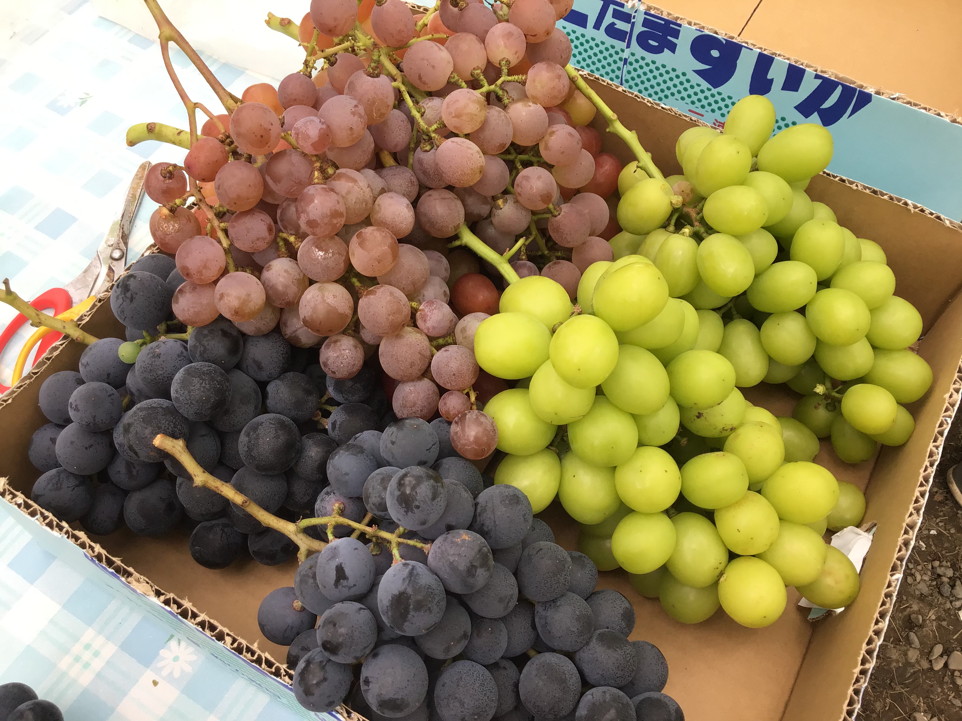 5b41a2fd-dfd5-4842-a6ae-8cf1b832be8c