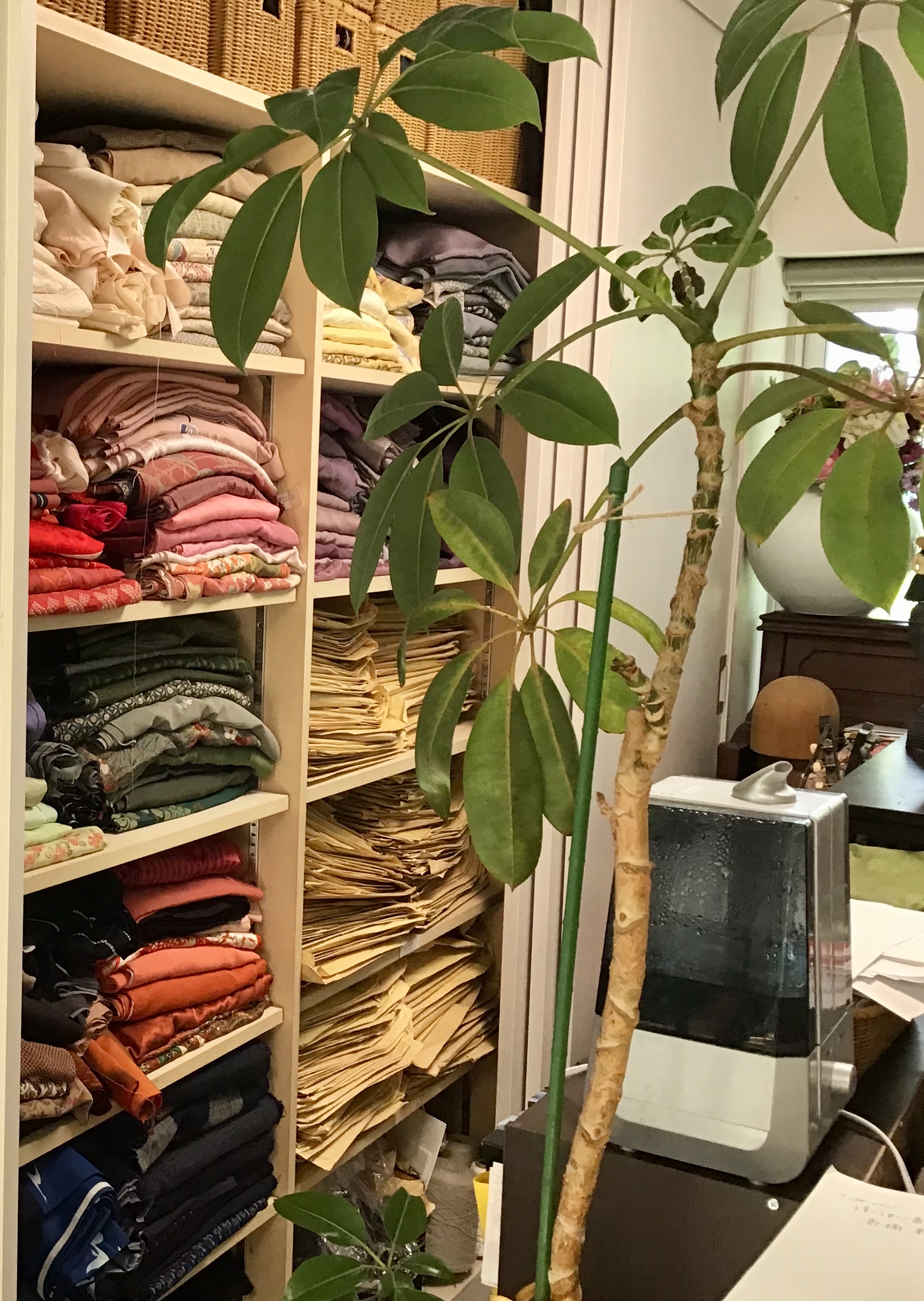 760ebff8-9a34-4309-a51b-01e304a817b7