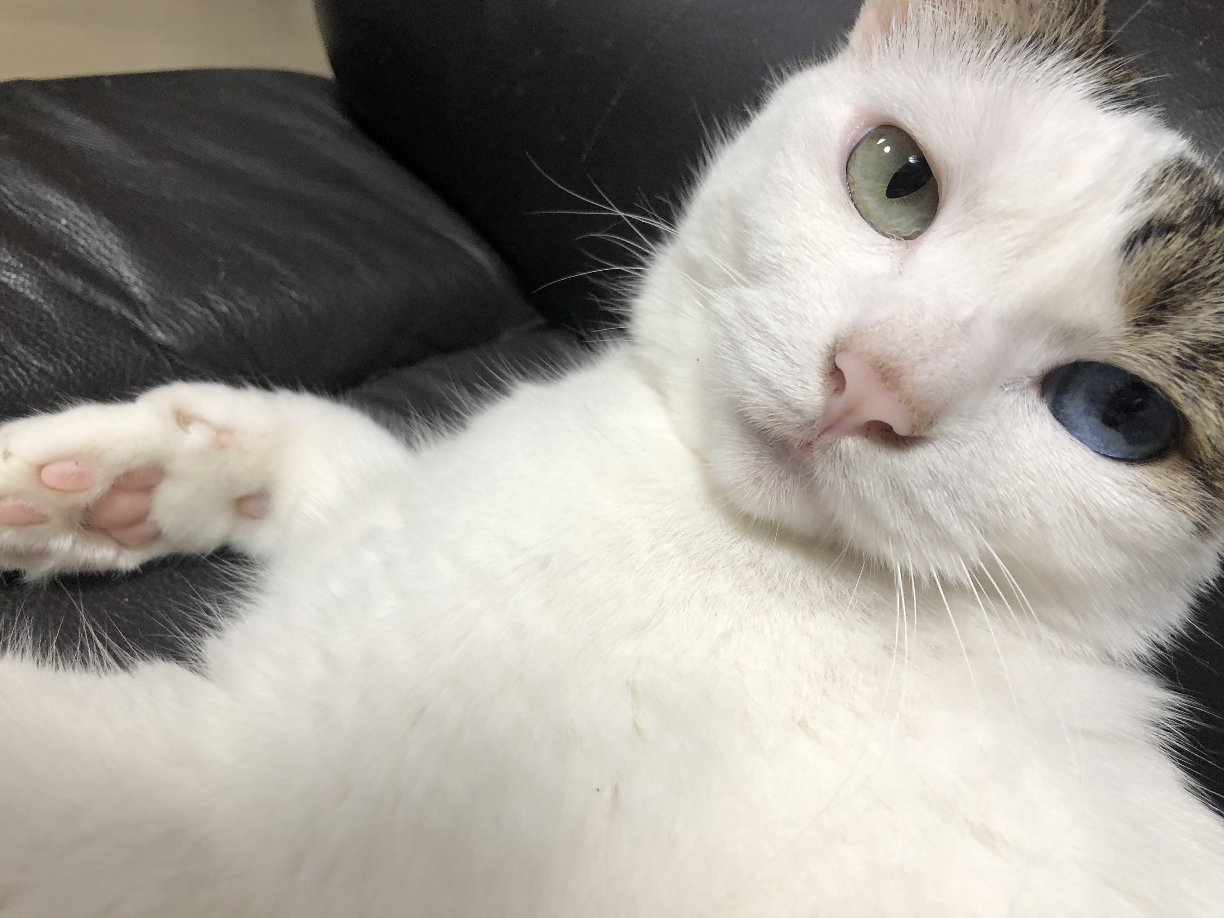 dc5ff393-db51-45a2-a83b-21b4ddc7d7f2