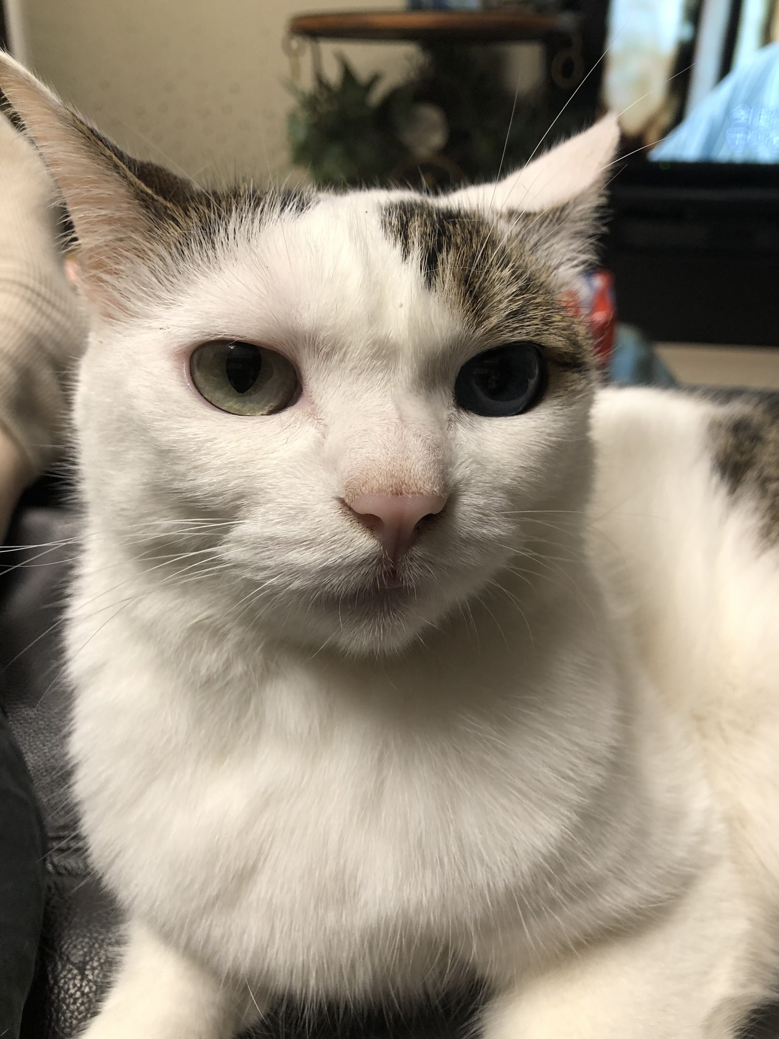 e84f6bcd-85c5-4162-b992-ca446922757e