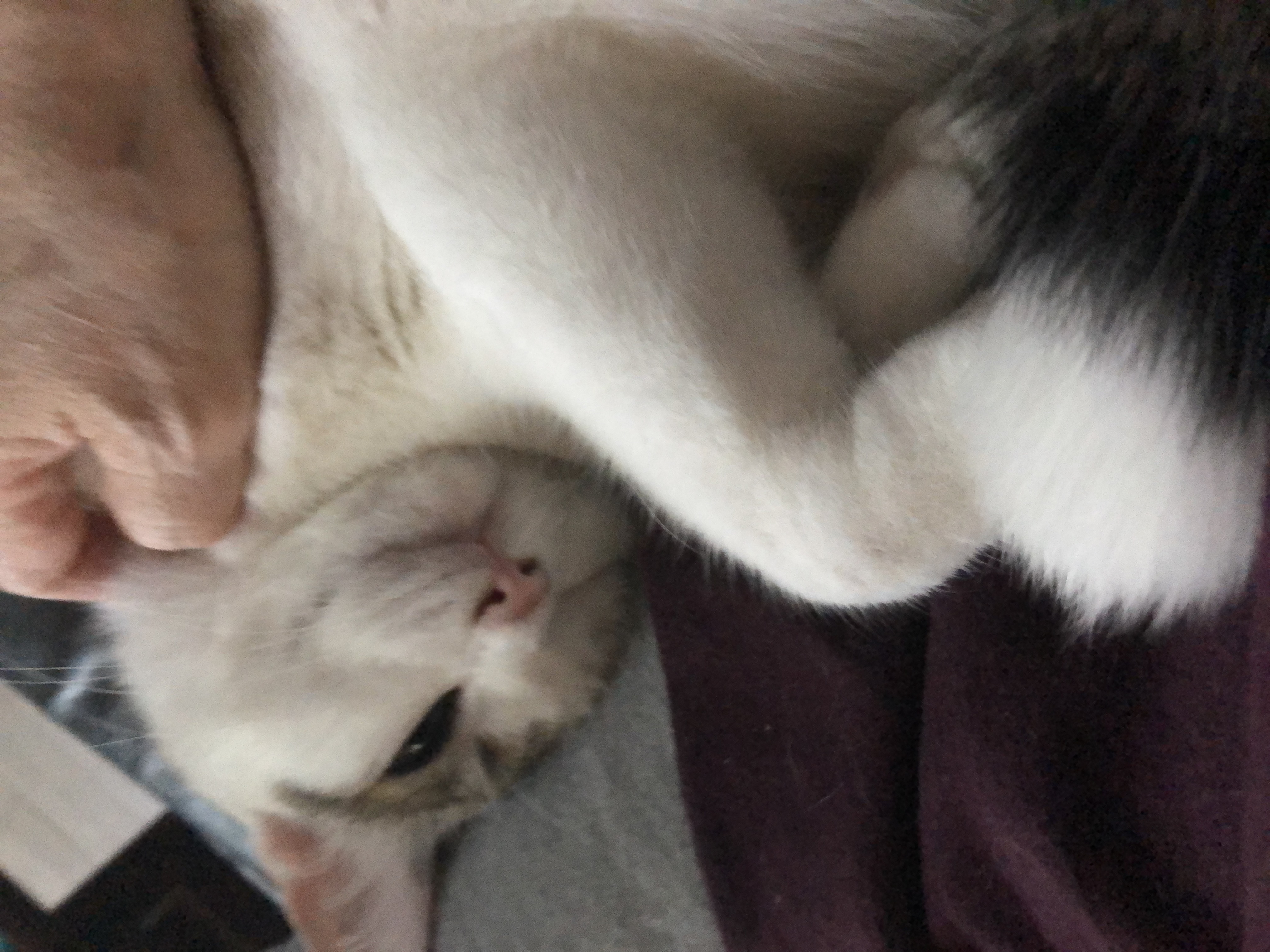 3526de53-9909-4187-8917-bb430c58da40