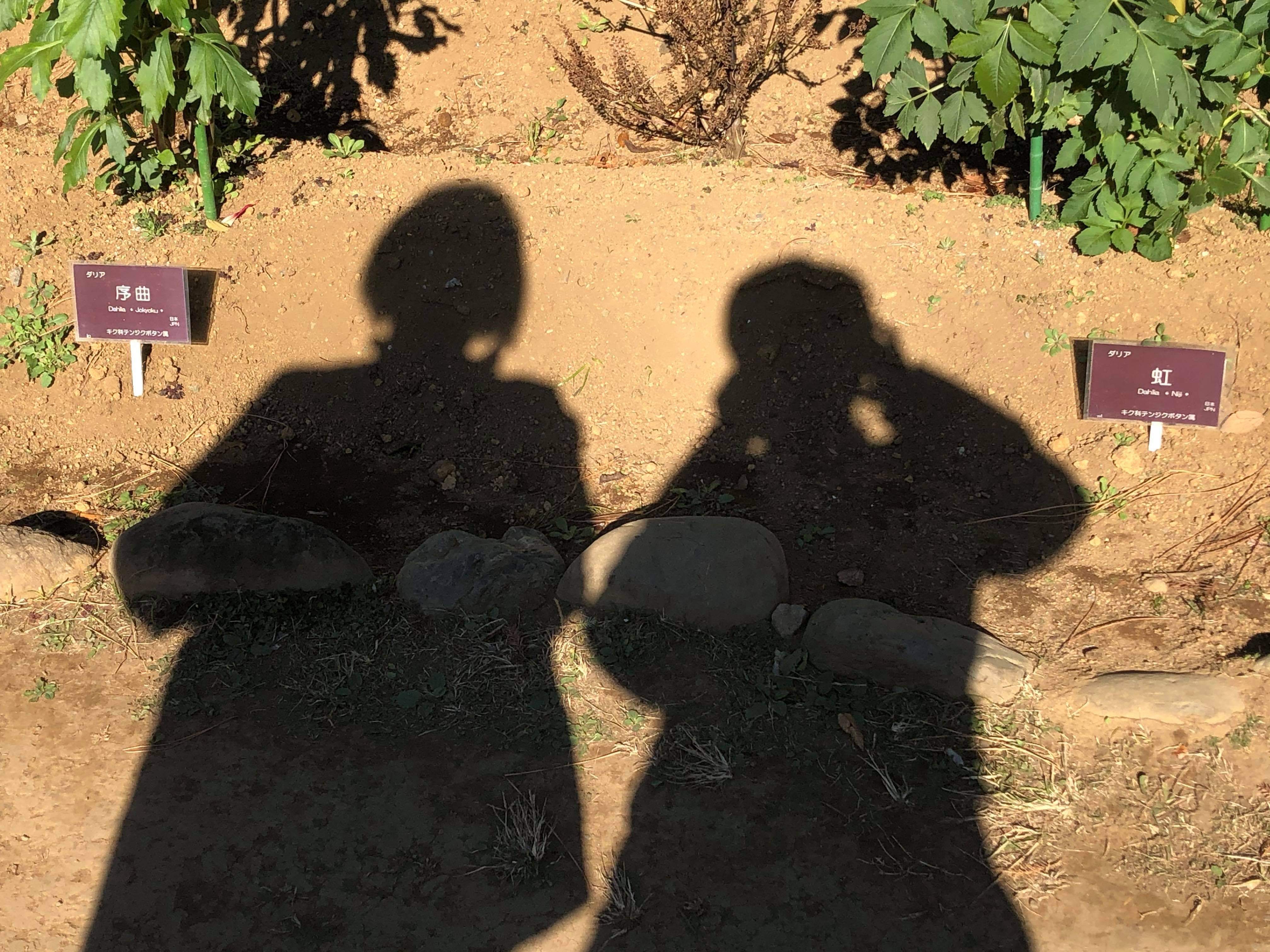 73d6a046-75d1-49f5-aec6-ef8da0bea71f