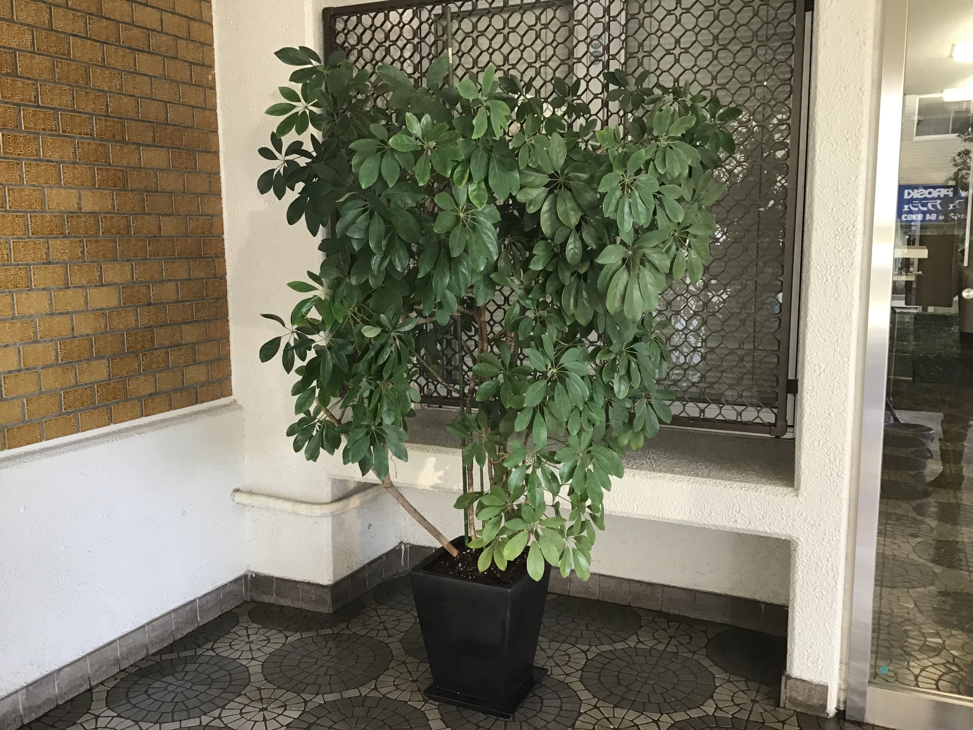 5ce68fd6-c739-4d83-a7eb-c604bfe0bb34