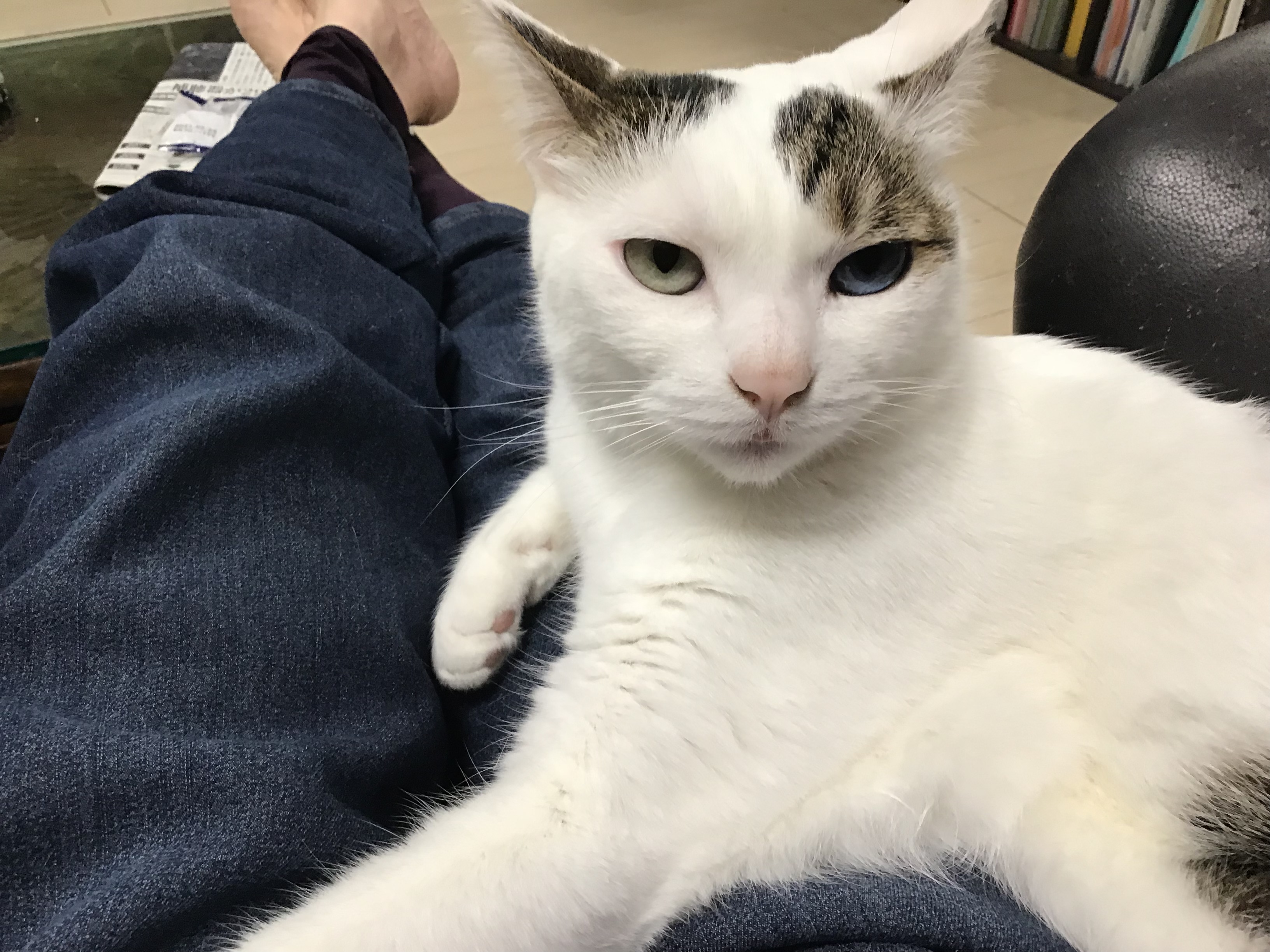 79057eb4-d27a-4e4a-8ef3-ed09aa03de89