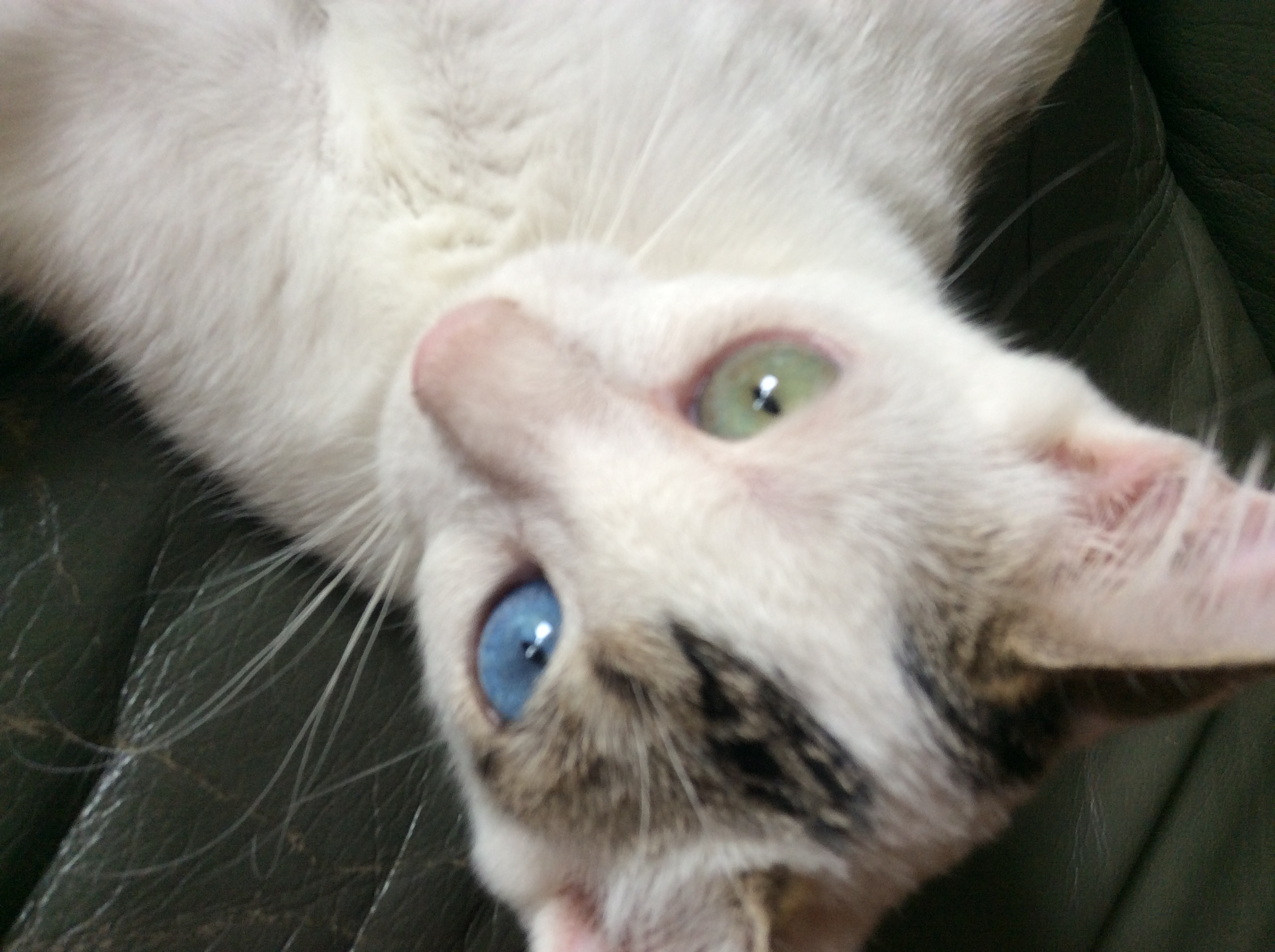 93f9ccfd-31e7-46fd-8748-38264df769e5