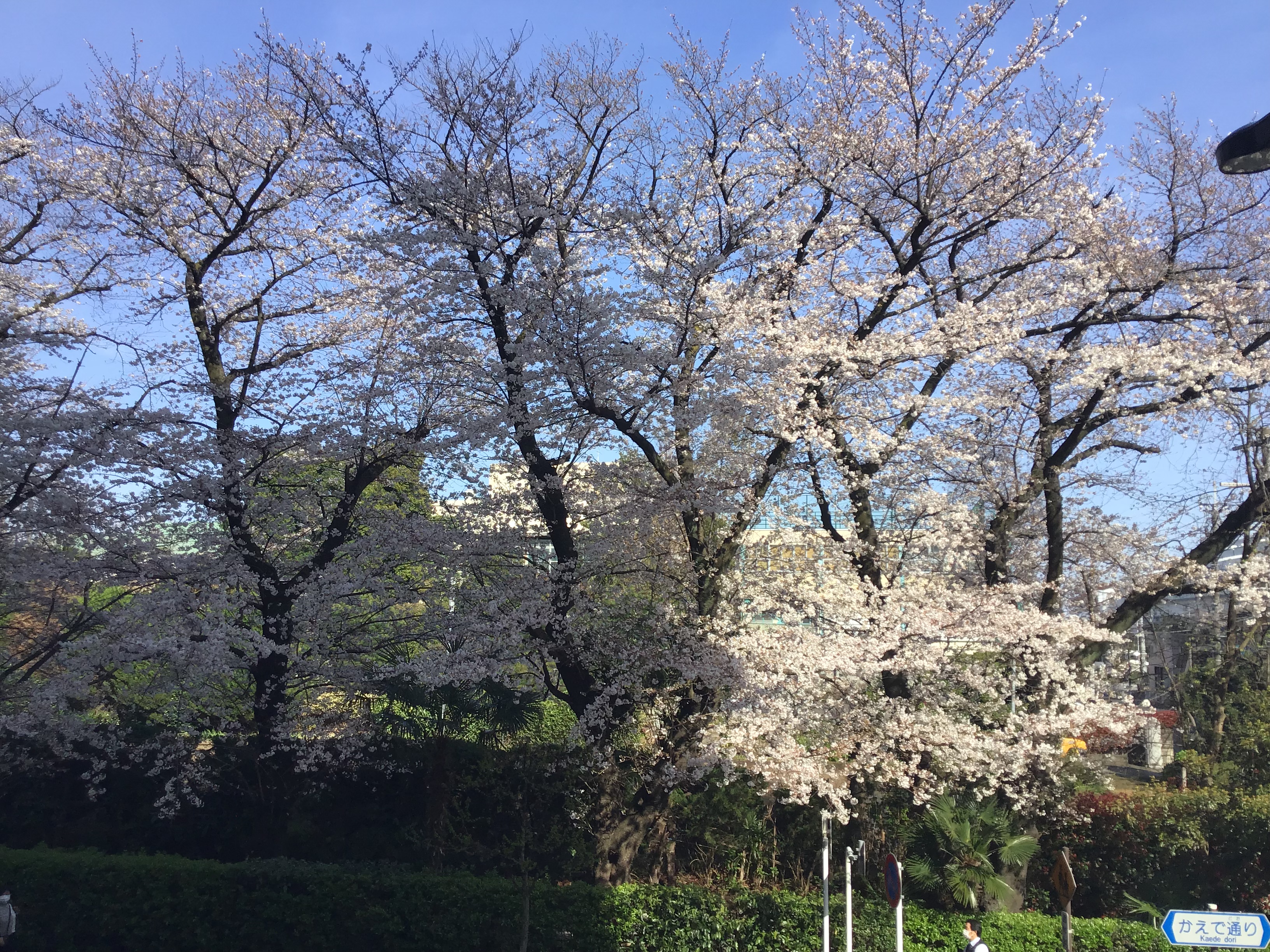 05f50489-8131-41d4-835f-407b4508344d