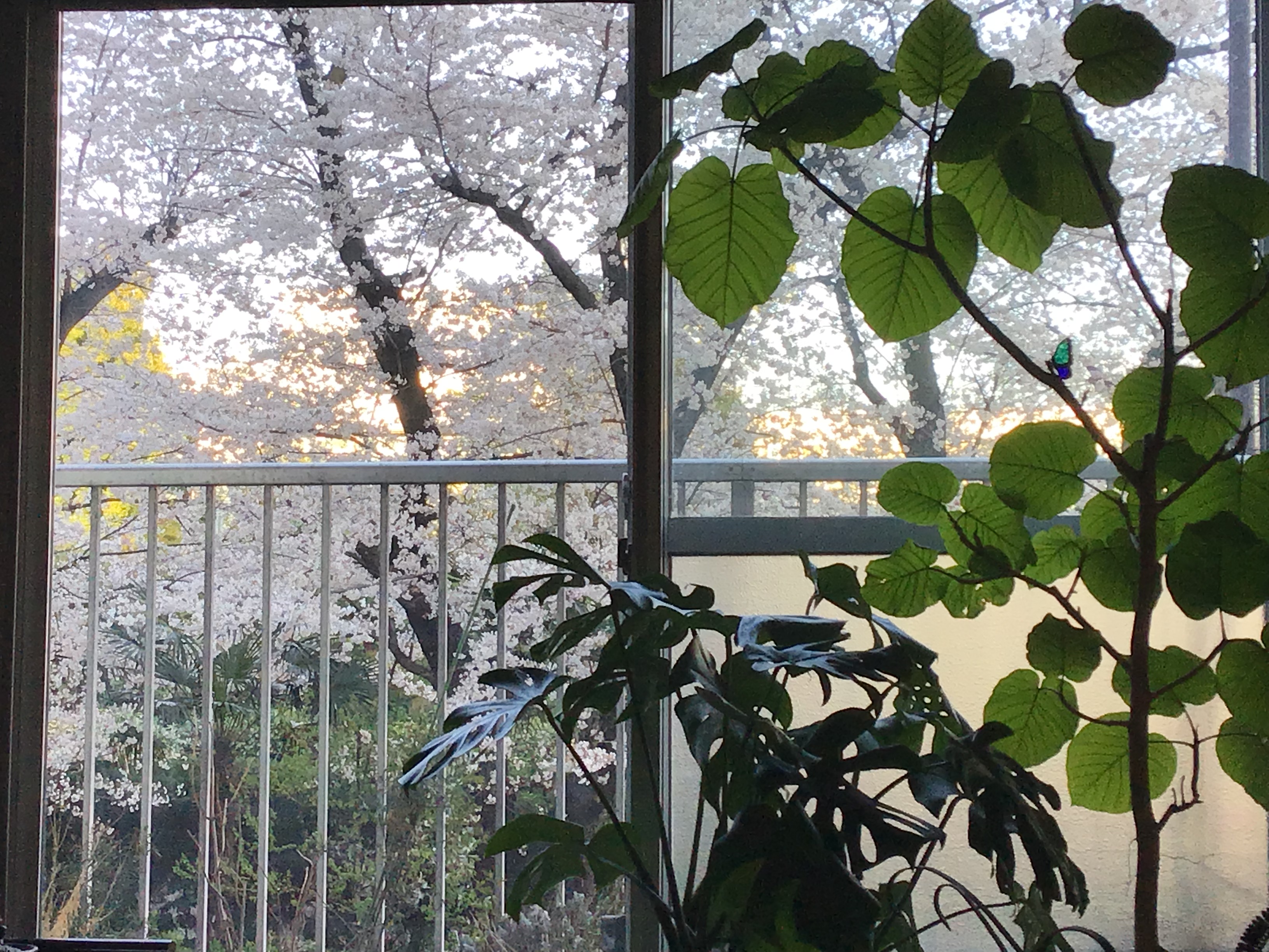 31629bd3-1a80-4f40-8361-022b953864ba