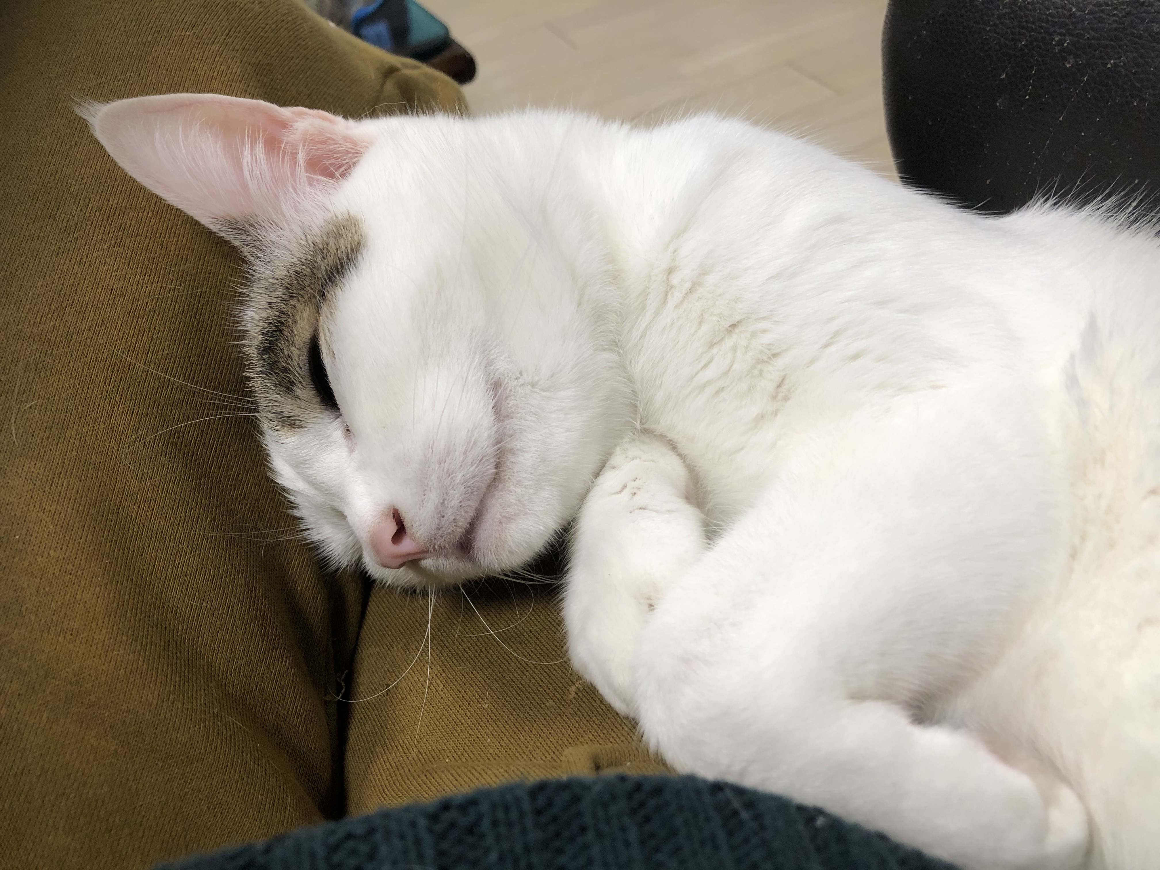 f3651cd8-a978-465f-95b2-f296b1b3b480