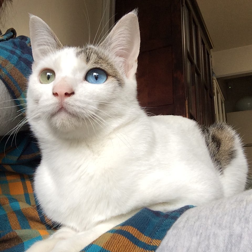 06560cb7-5fe1-41e2-a7d0-244bf7075467