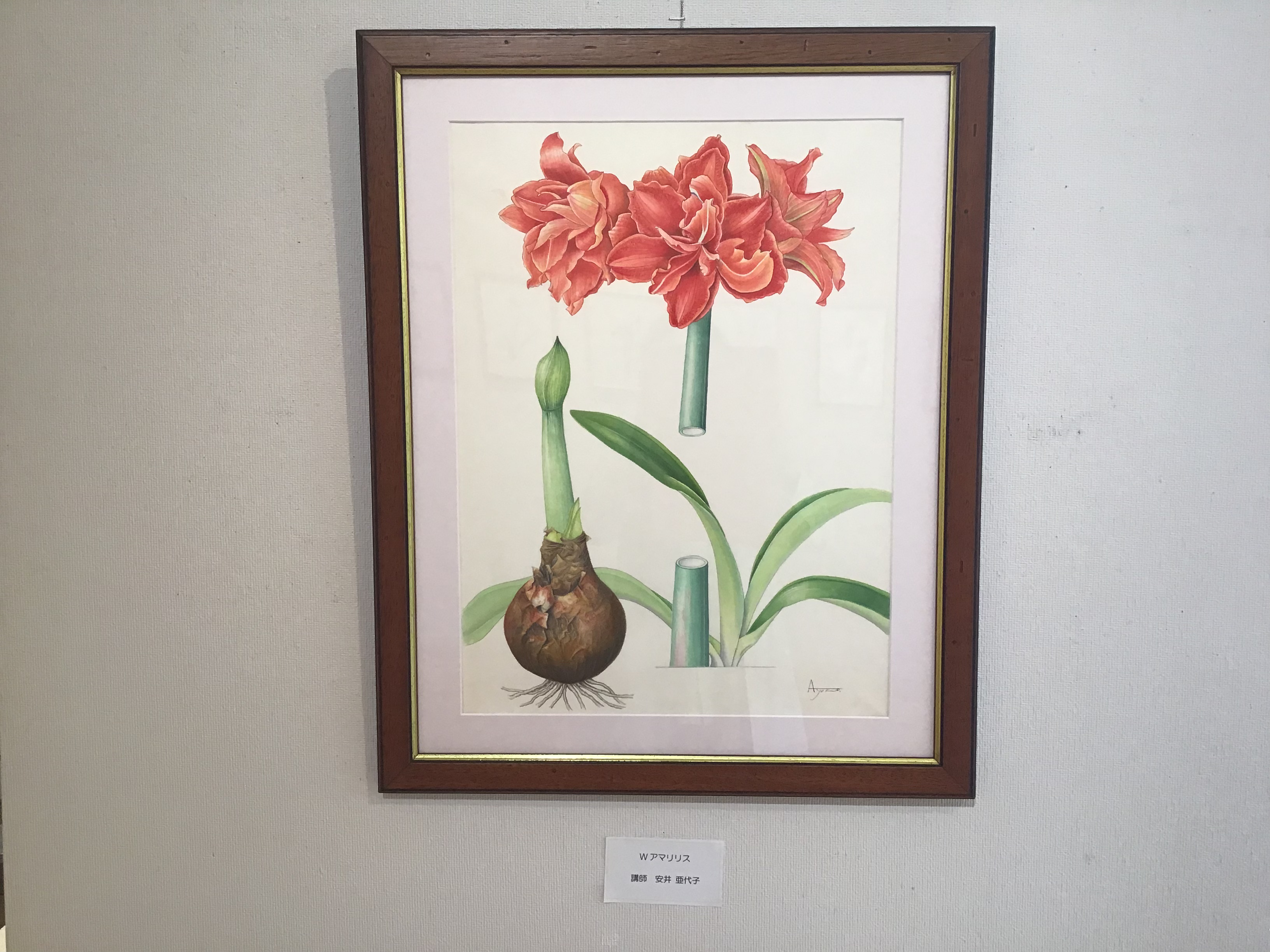 958ec6ee-95dd-4dcc-ad93-14dbe8d3e701