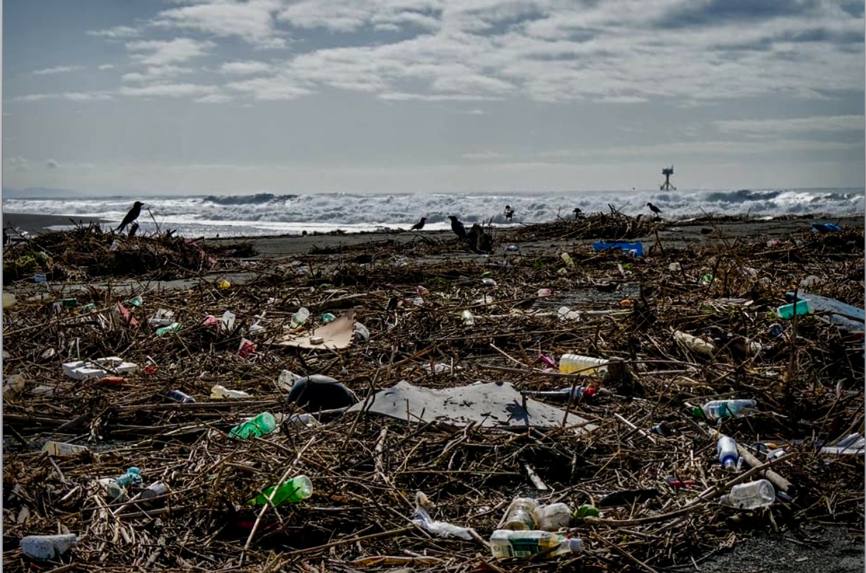 b5b05b8c-dd0d-47be-8874-94c47c2d9390