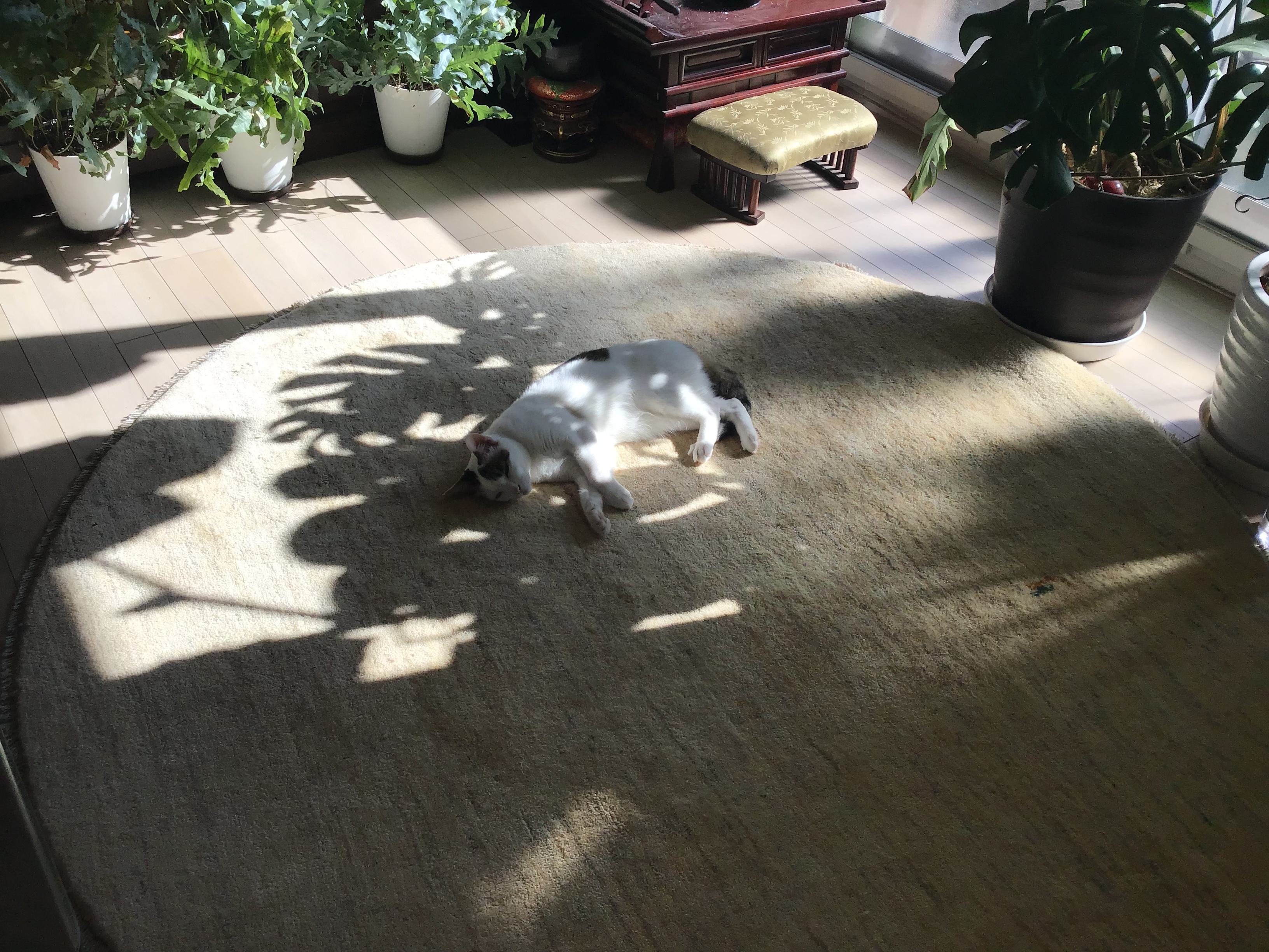 f2863efa-df23-4b0f-aafa-205f2c9bfb2b