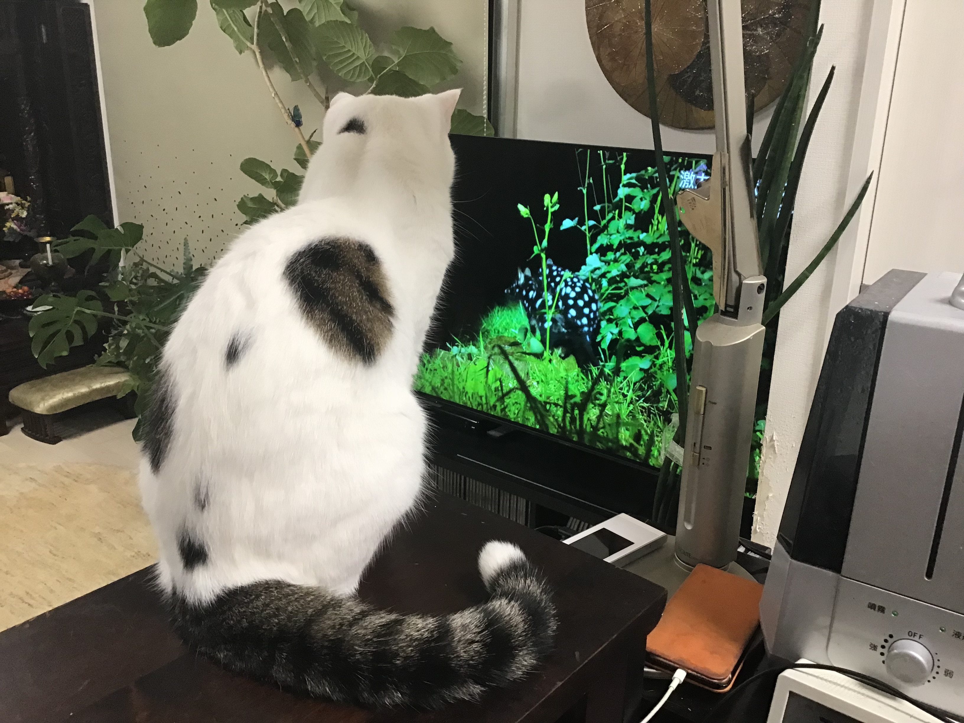 134cad11-adc6-4993-925e-7675c5a62149