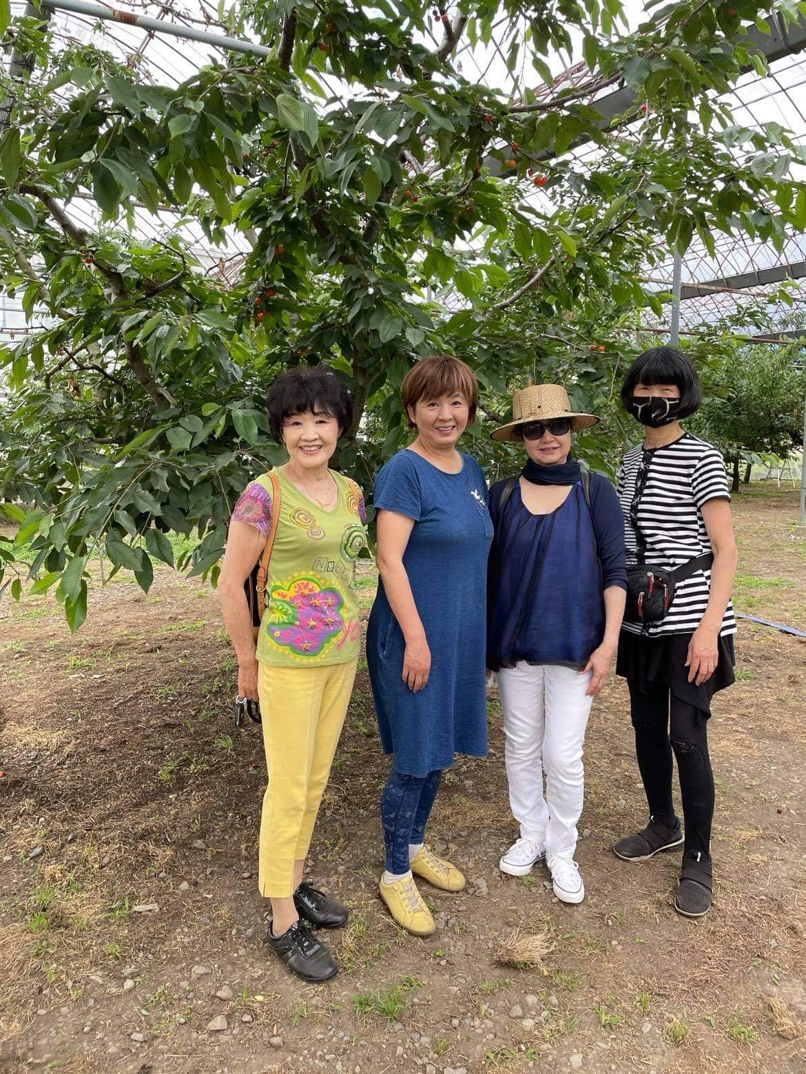 2c09b031-7a8a-4a70-b09d-e2c90b9ce9c0