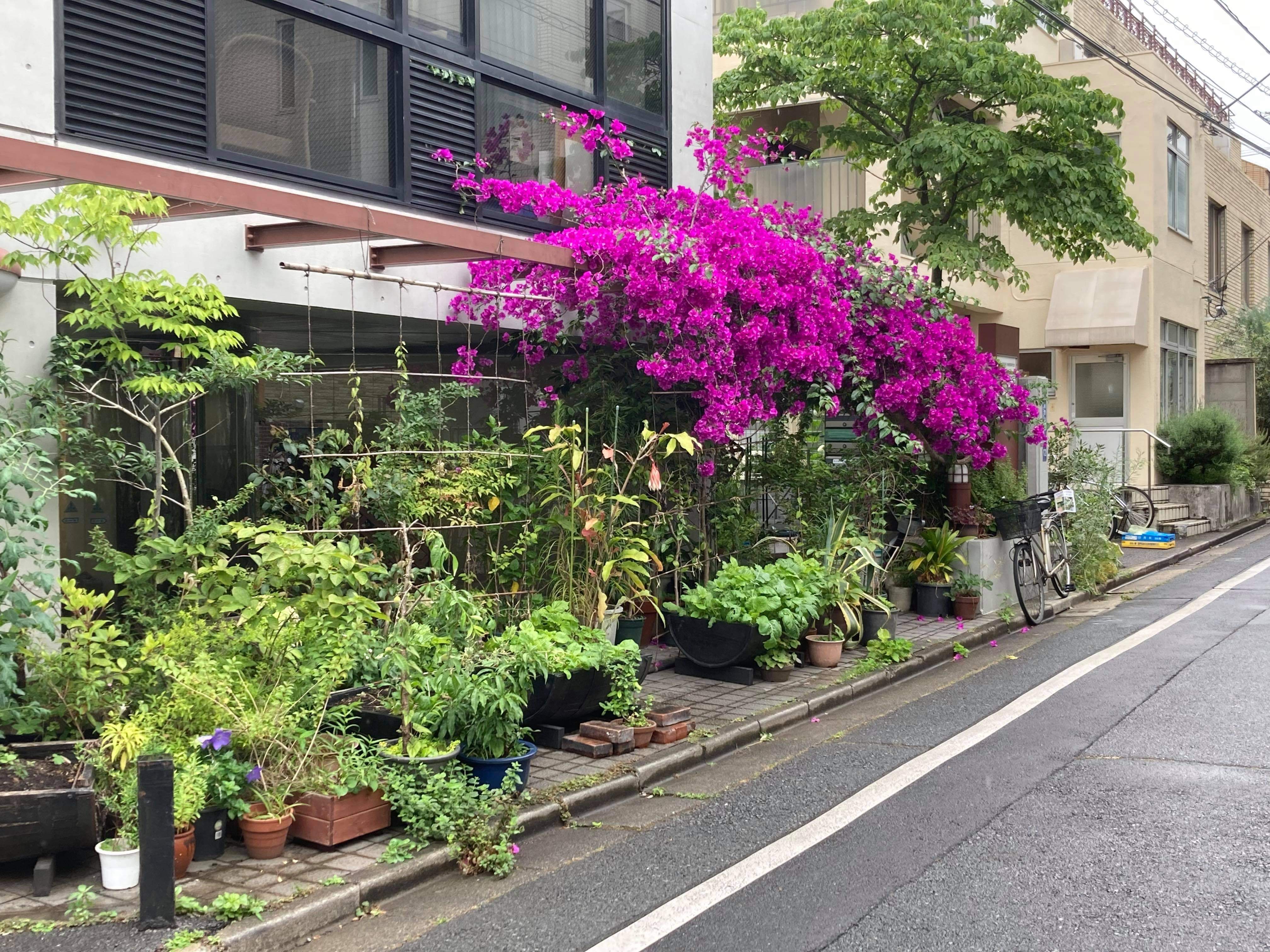 7a58eabf-99ca-44d2-8be3-2d984f4444ce