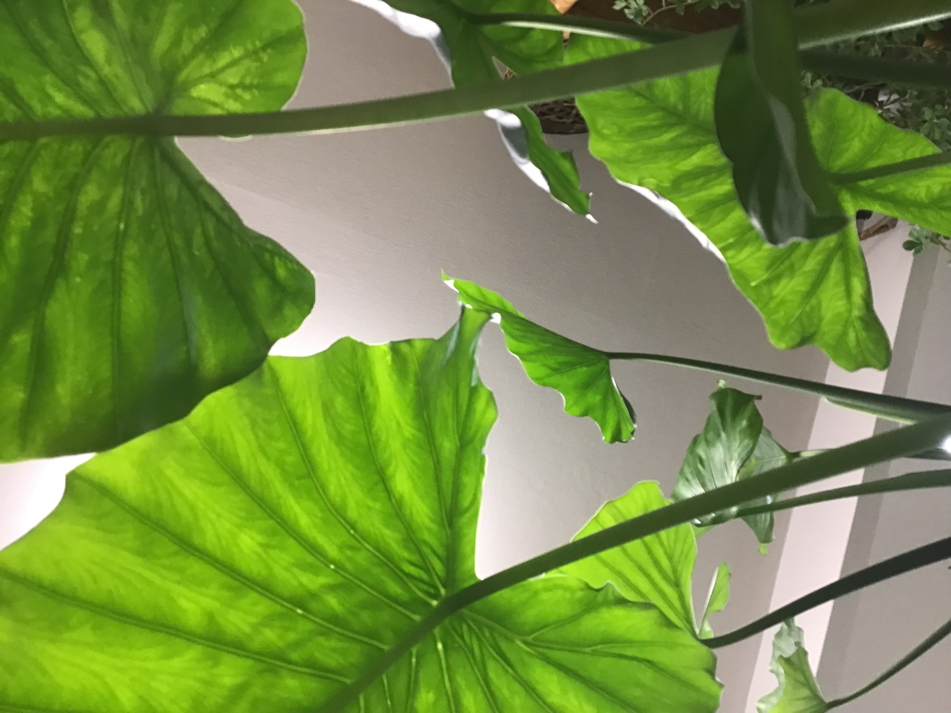 6793db78-582e-4e3b-9a61-945fdf52851e