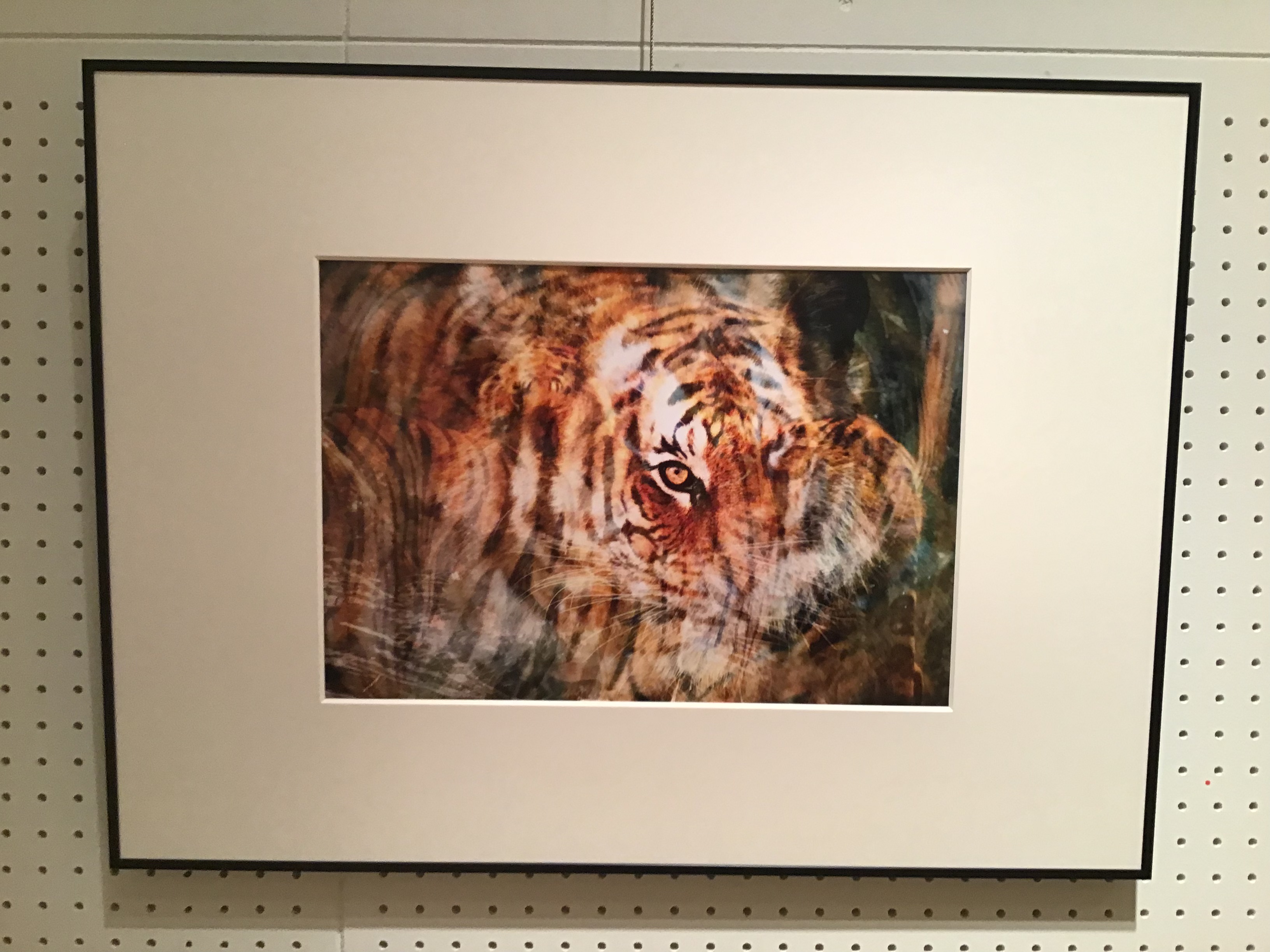 7b18e3af-ee6b-4748-b33b-8def8ce92c2a