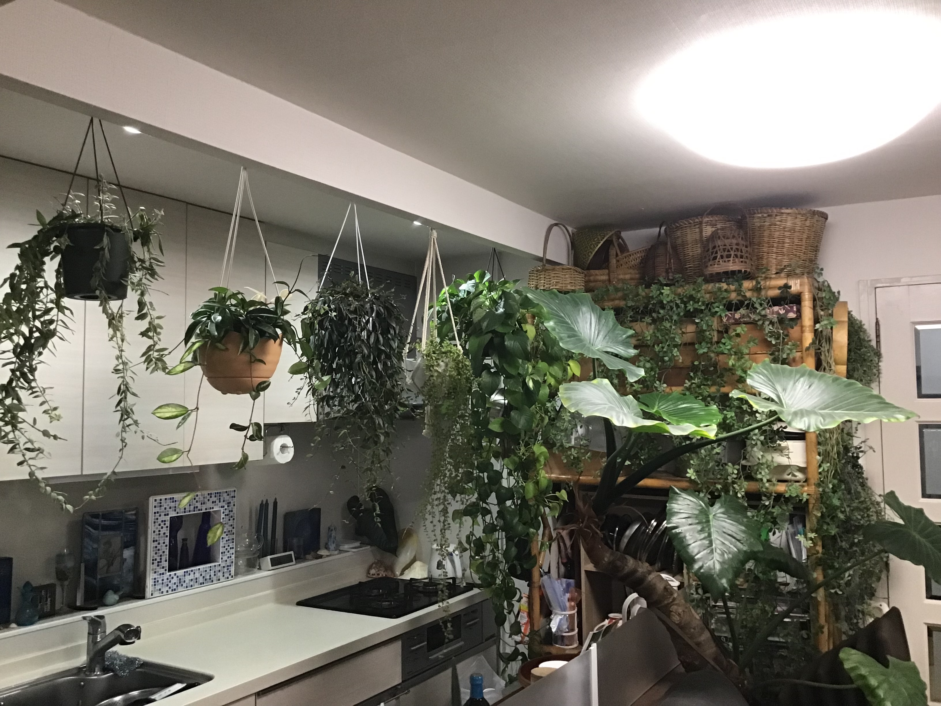 6cb45ba5-f6dd-4b30-9bab-d9c47e55bcaf