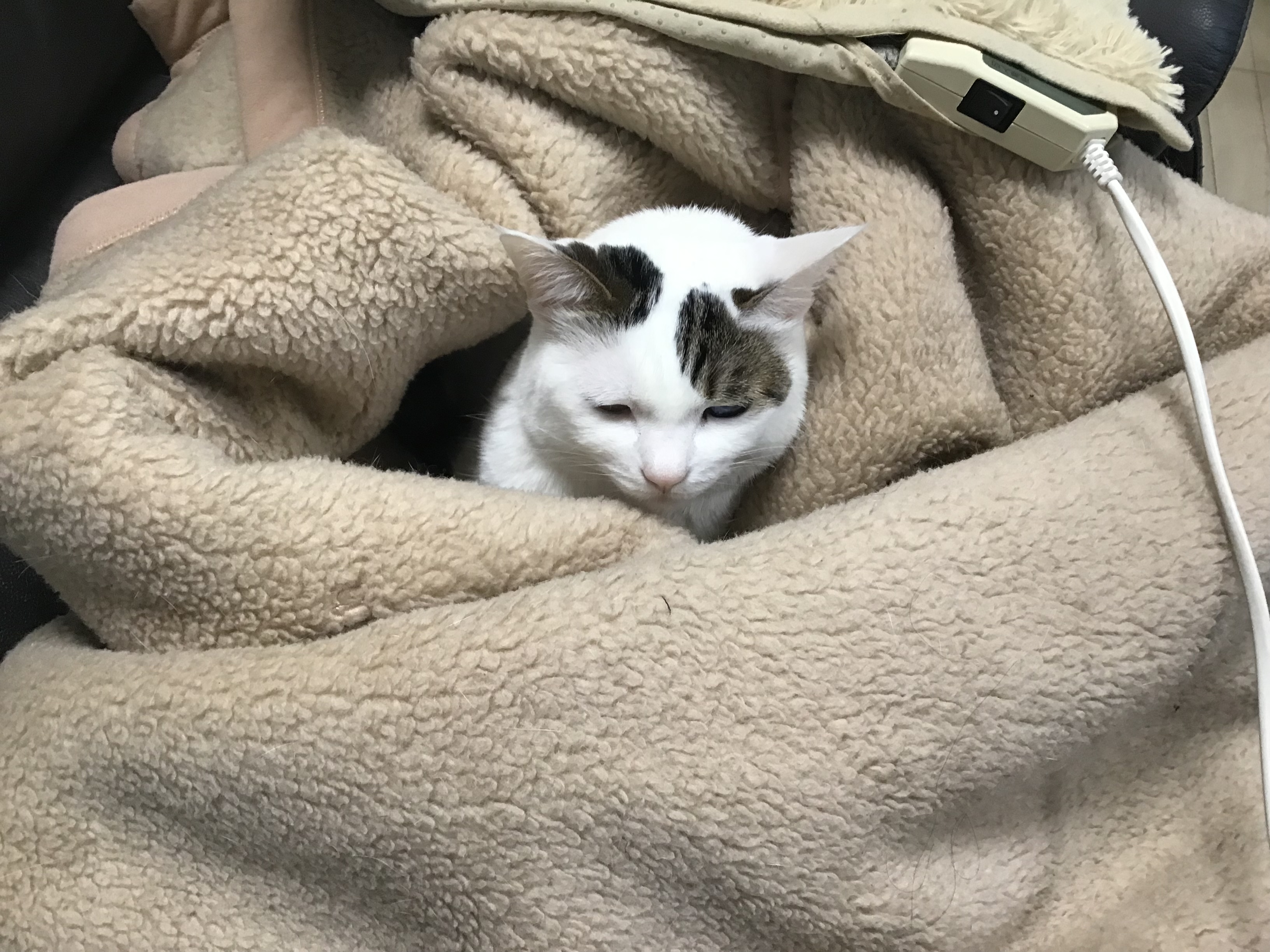 91d93004-7368-4195-b826-5fe055c02a19