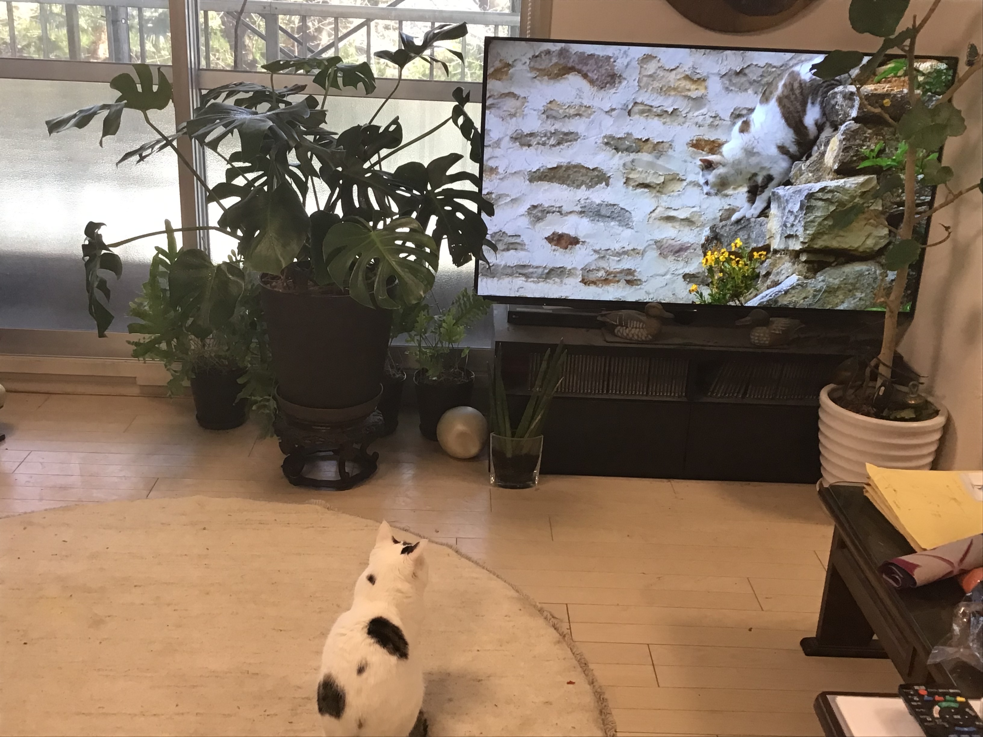 c7645393-69fa-4c1a-9a8f-a03ed3e23763