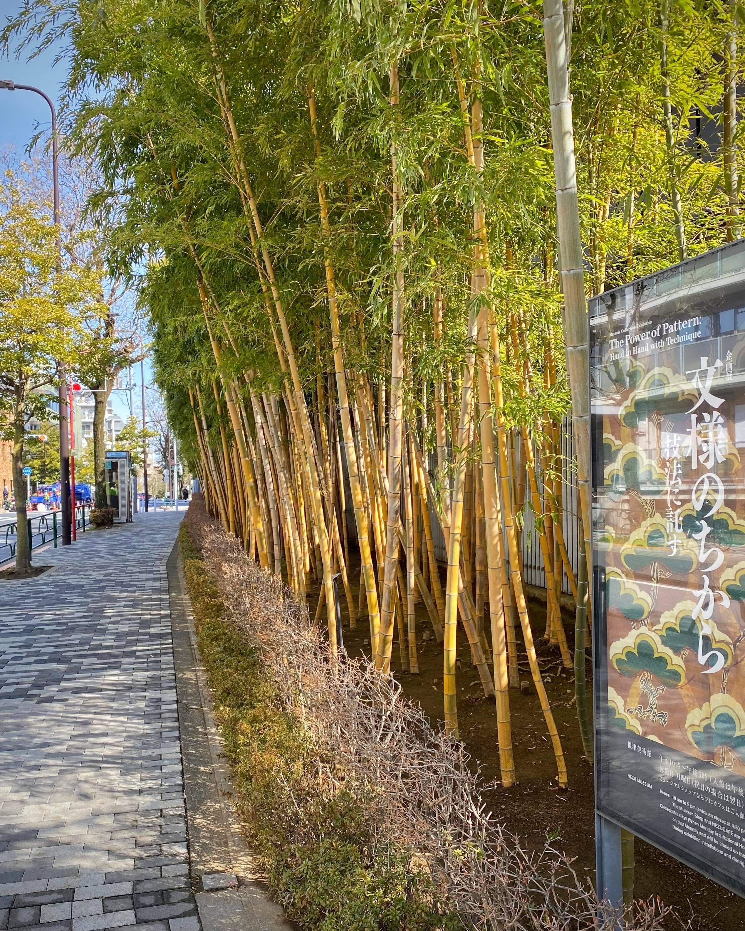 dcdf9591-ccdd-4ef4-aa8b-d22a875d3bea