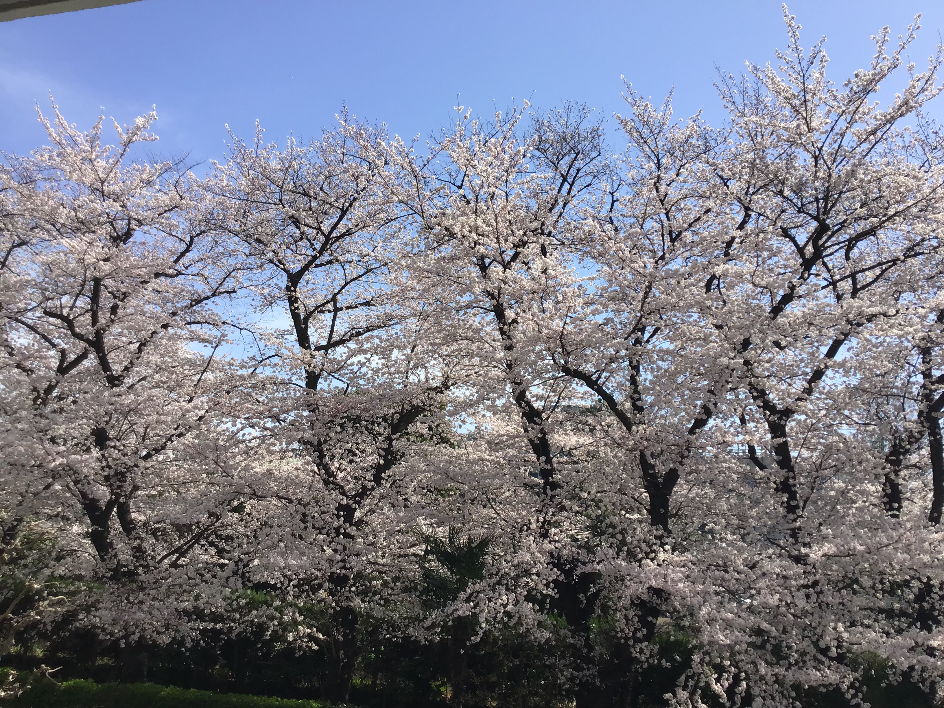 27bcfe44-cff3-4d8d-820a-39b9c8b3c475