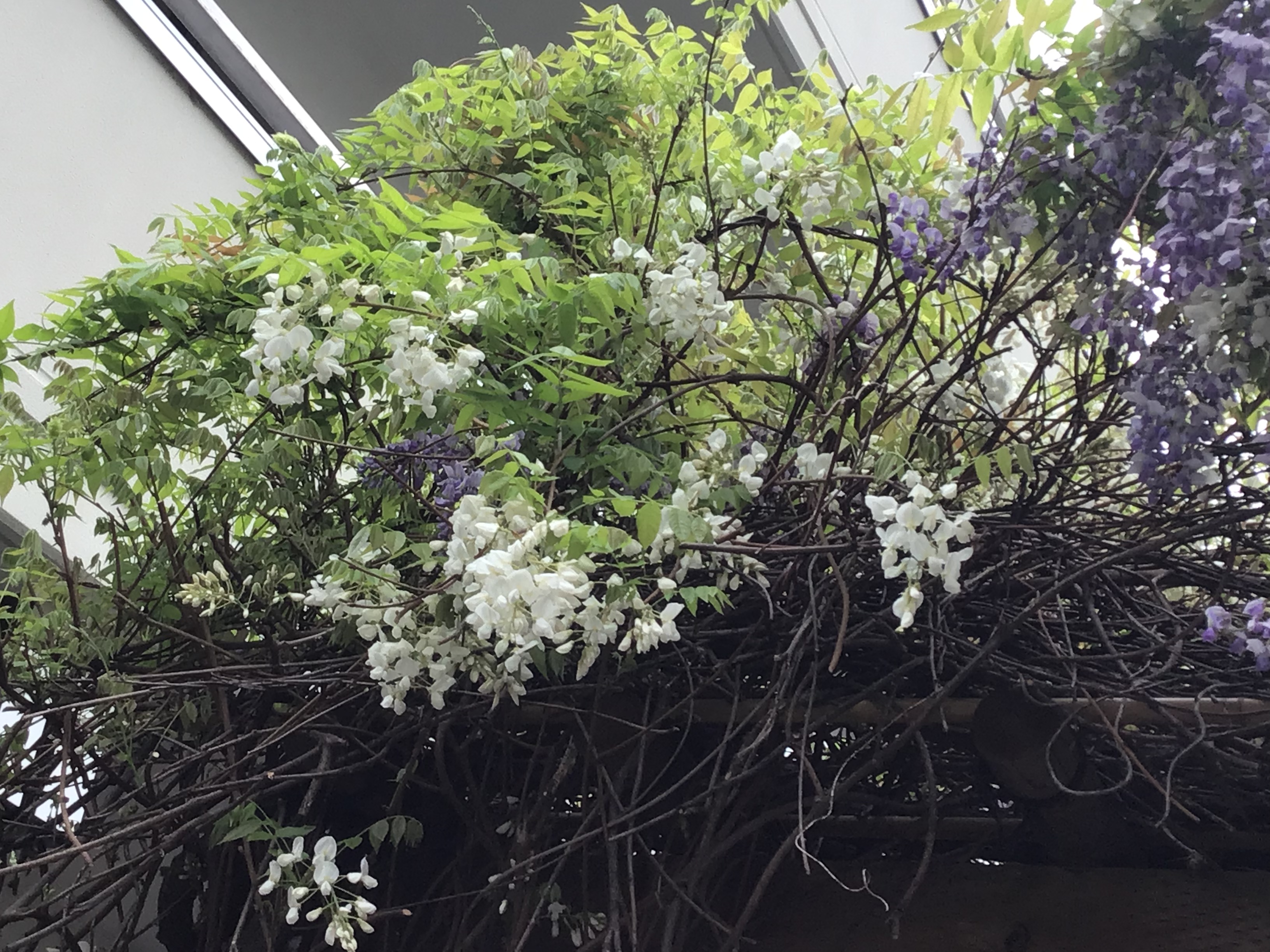 1cb82a2f-d43f-42a6-8bdc-05caeef55d0b