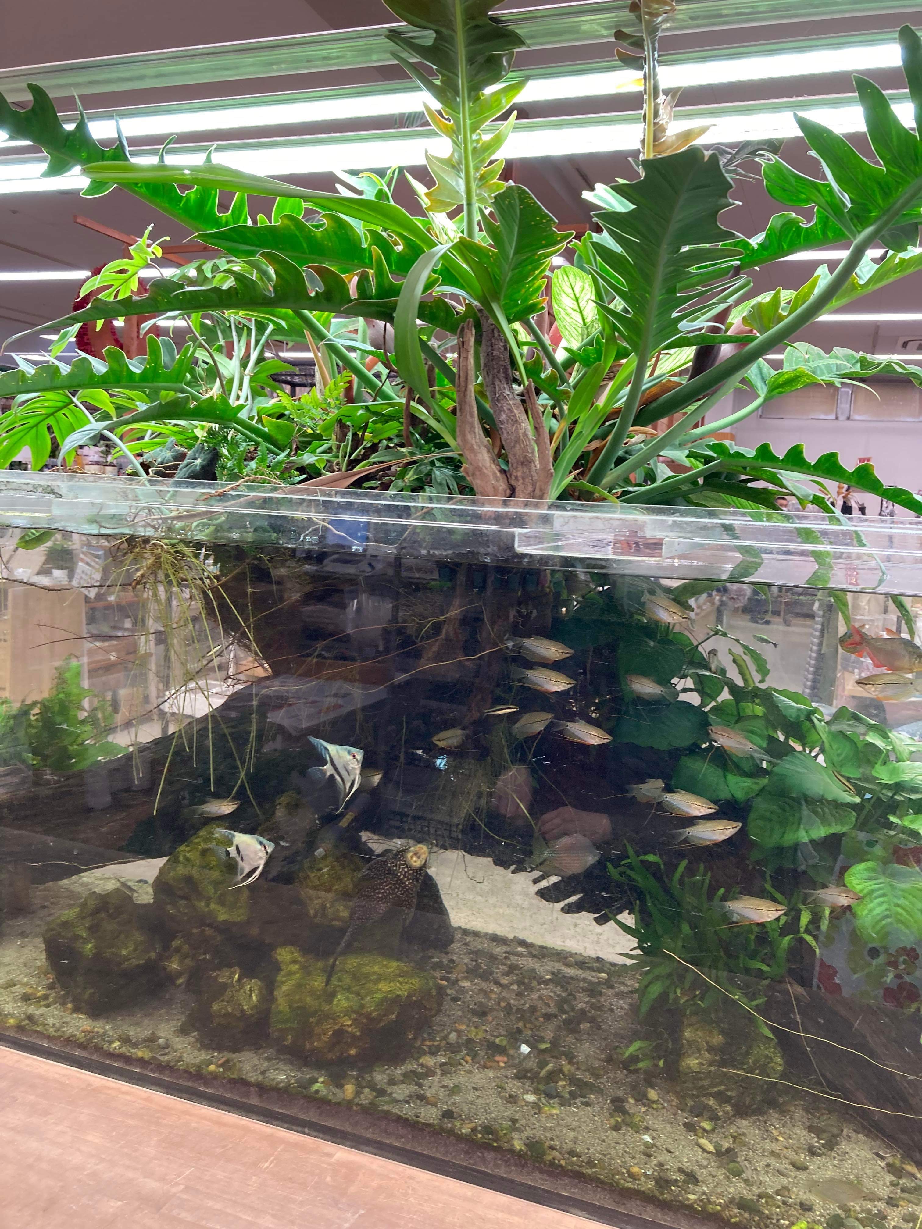 3185723a-f1e9-41d6-8a2f-7eb10f26d906