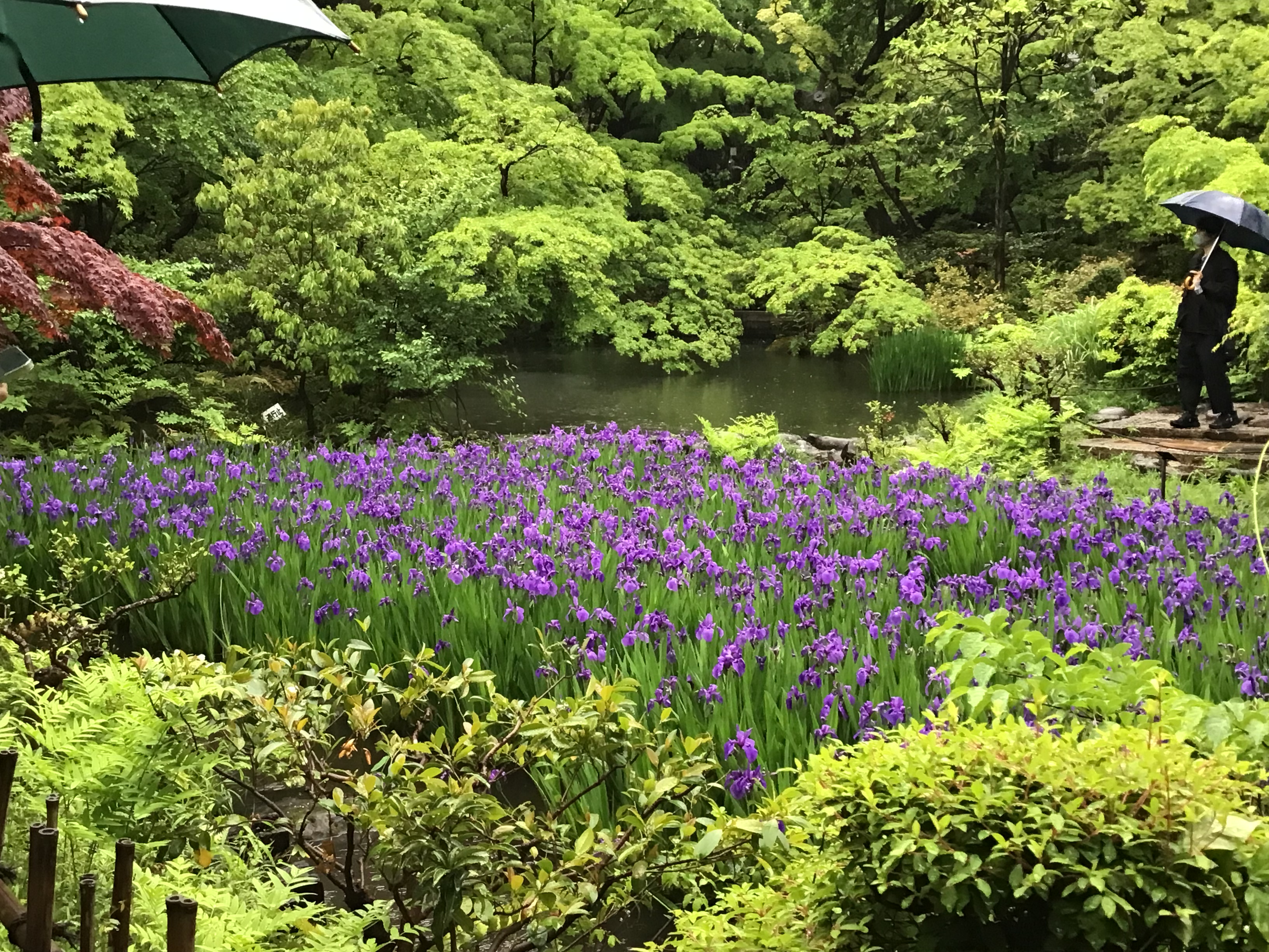 eca321a7-8092-4478-8b1c-f9fb59e43151