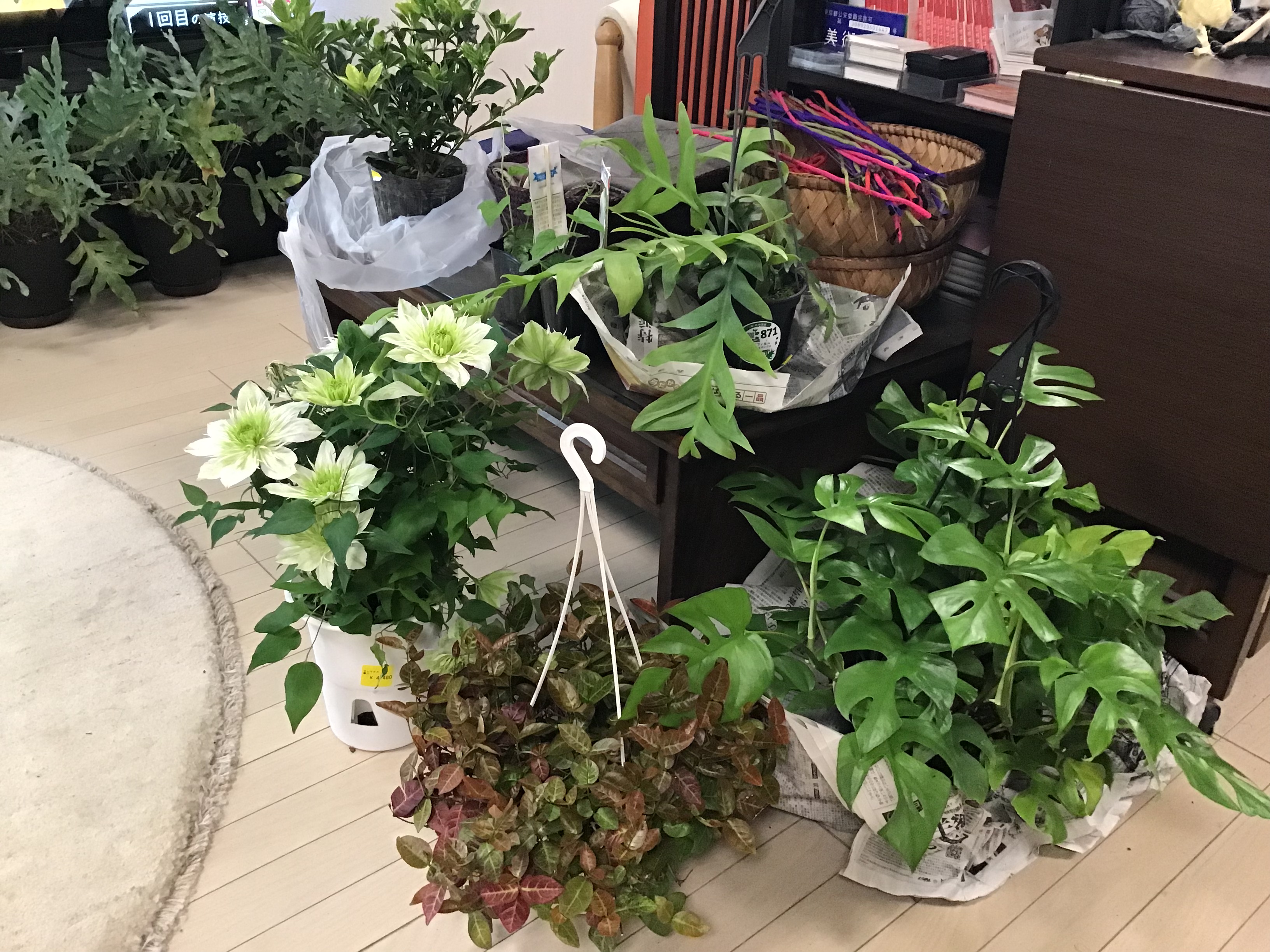 00bbbeec-217e-49f9-b960-bc139afcc55e