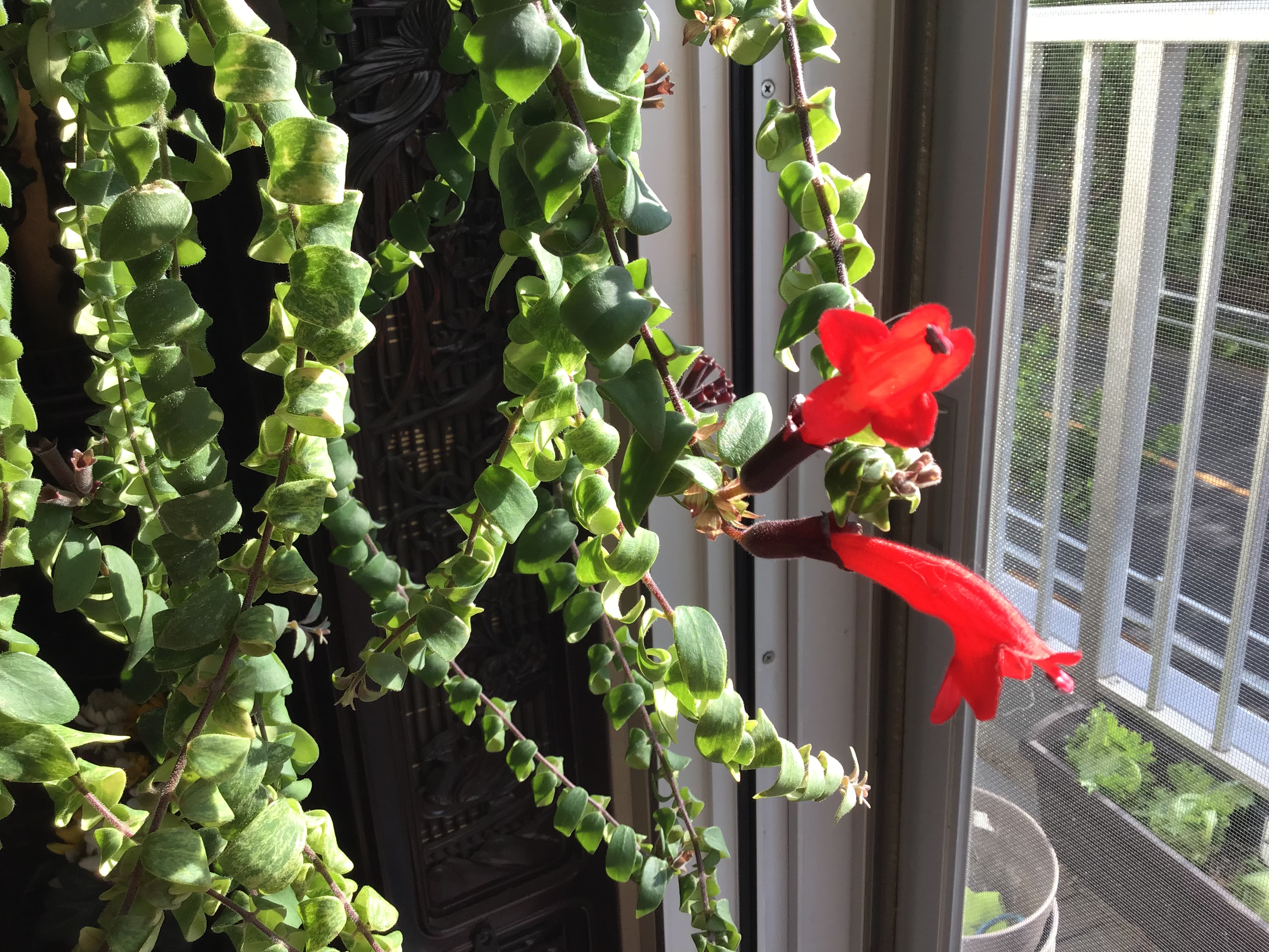 351c167a-2eb8-4a2e-8cfa-3cabc6631e1c