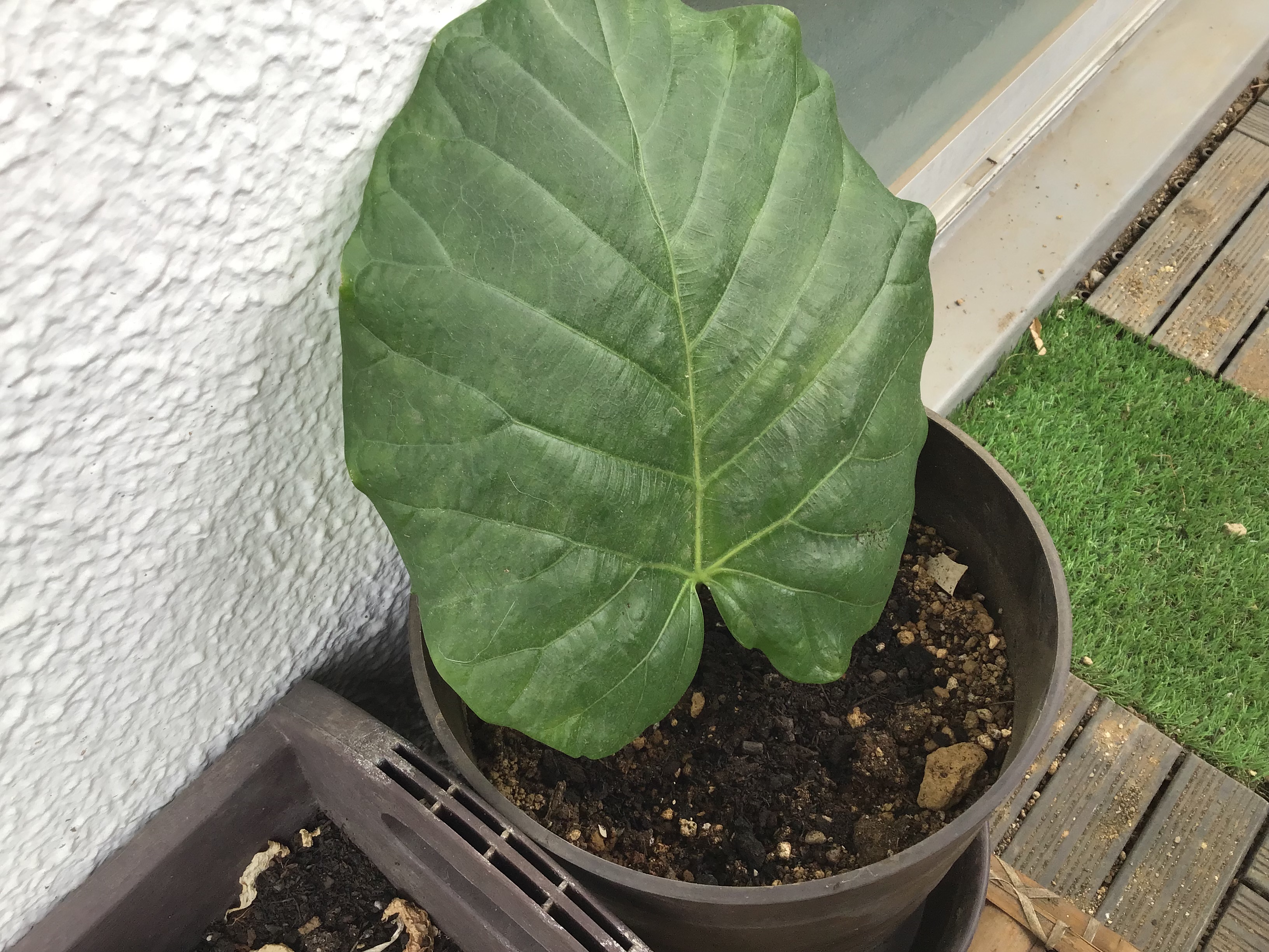 5a461523-dc73-4161-99a7-db7aca0d92fc