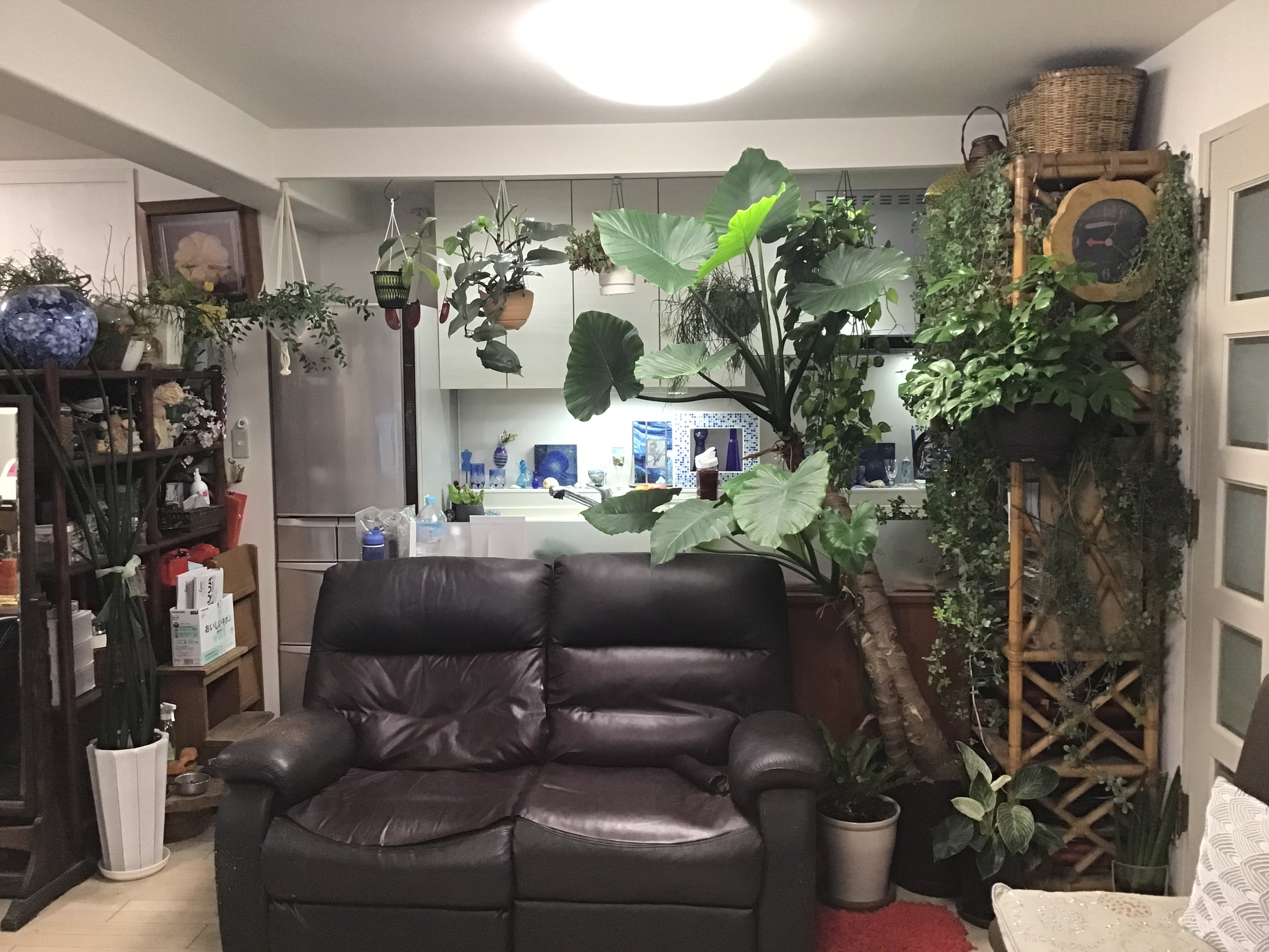 87d4b1a1-638b-4bf8-8f7a-5939eaf0456a