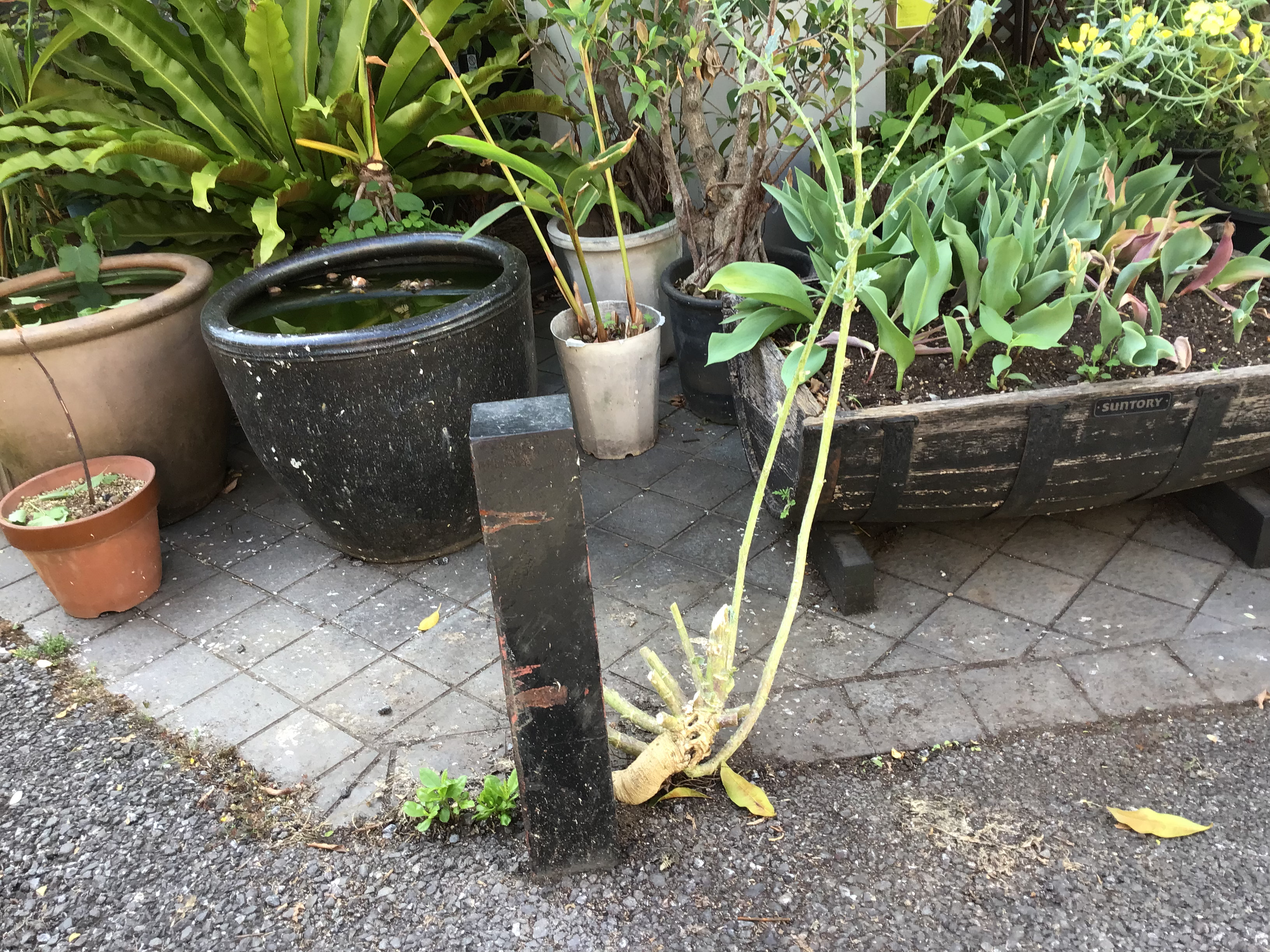 9c8ee175-91d2-4e77-8a3b-d40aa0a14c2a