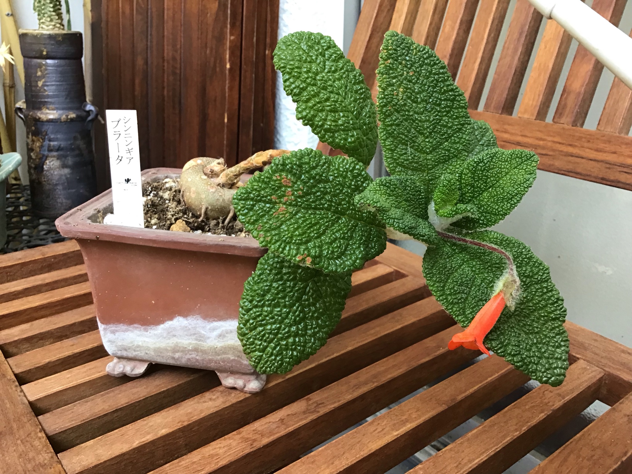 a3ac6936-68ed-43fa-aec6-ed70fb6fc176