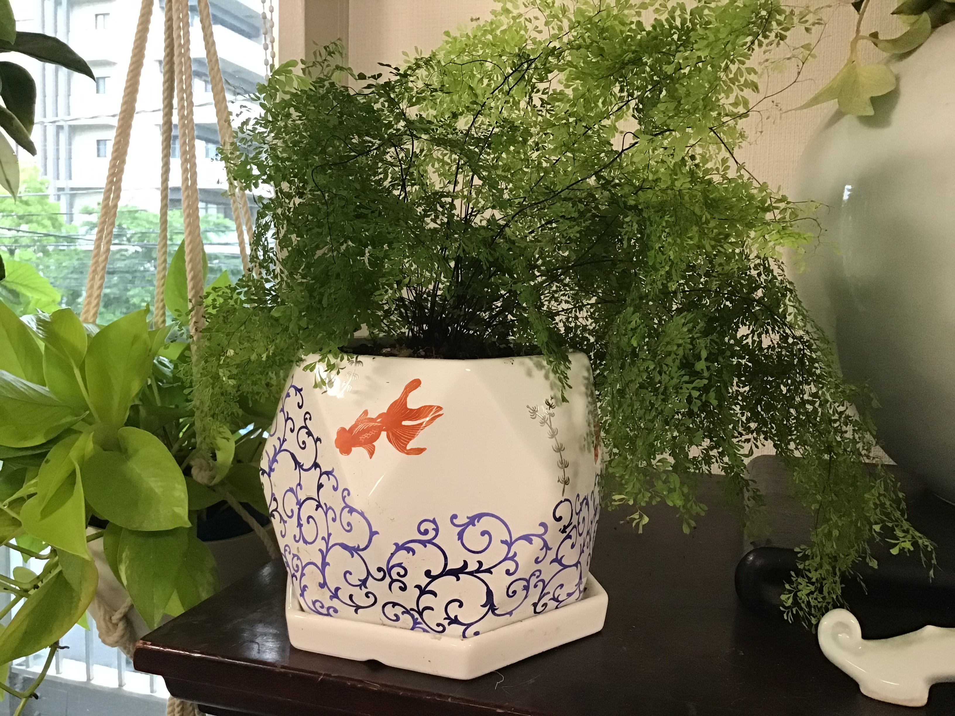 a891ec99-aaeb-4452-9a59-c2bf3423a663