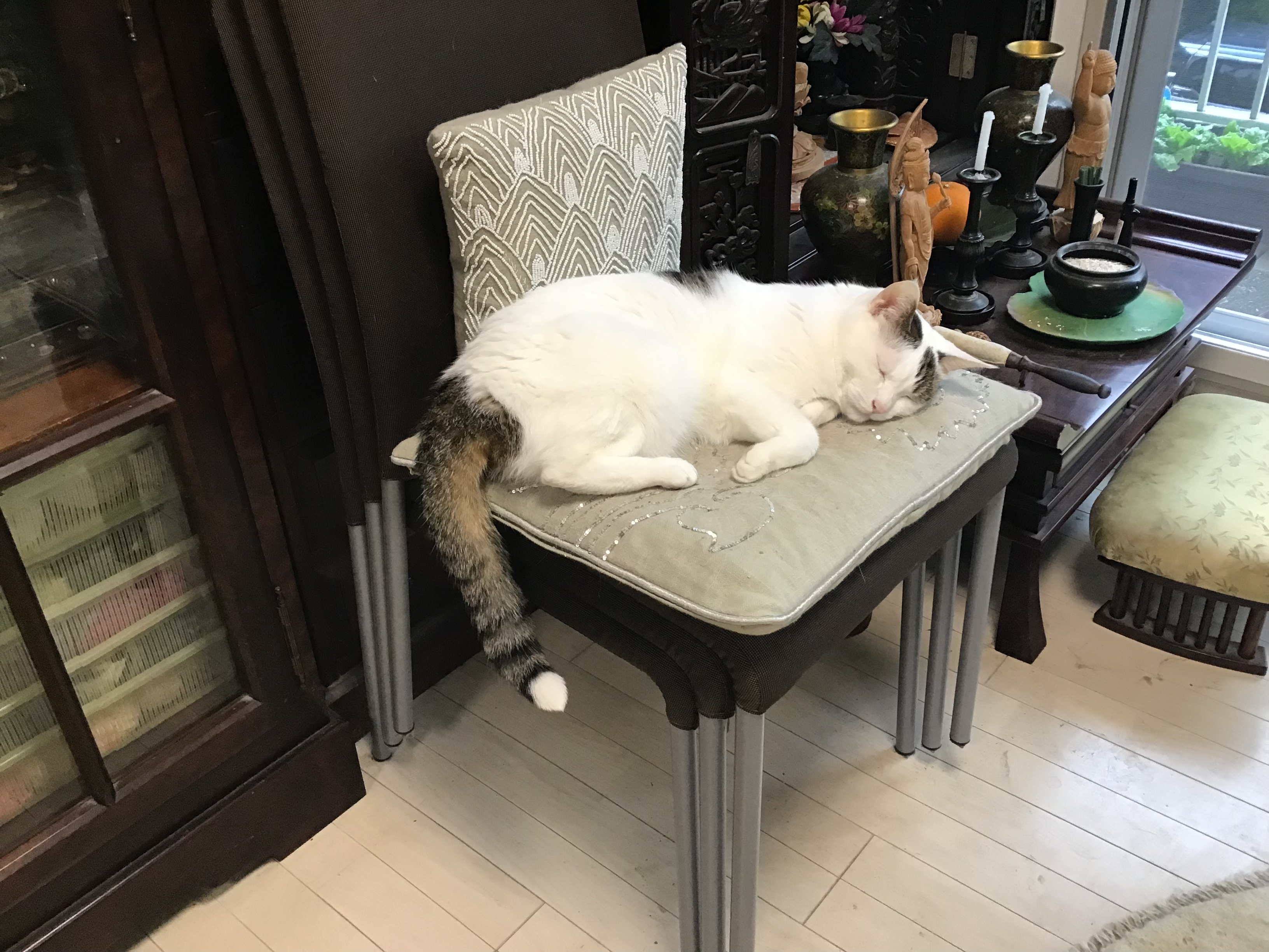 b25daaf5-772e-44b4-bb9f-61e2b852b375