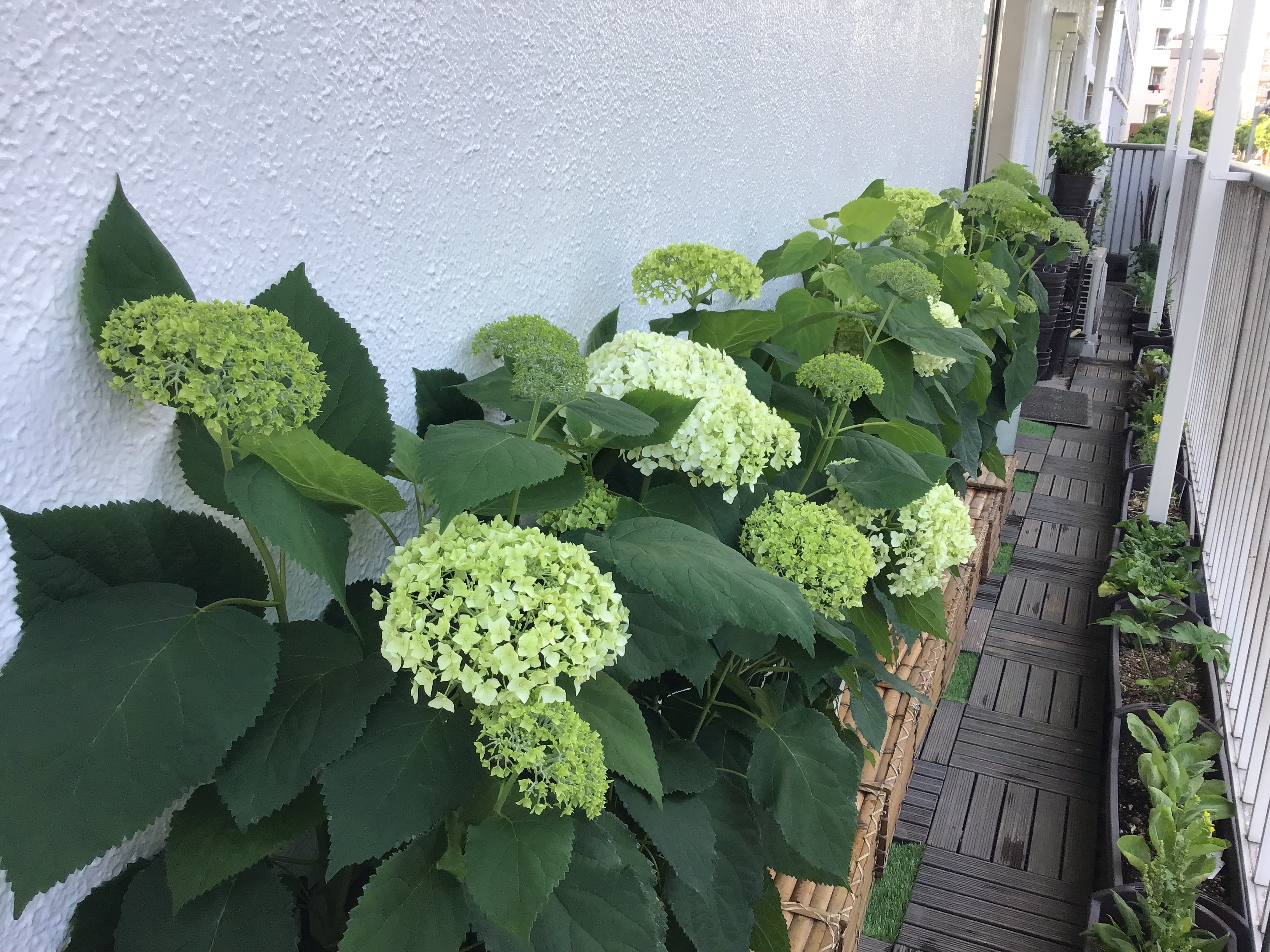 c1a4bb39-ef5c-4741-8324-aa57099d724a