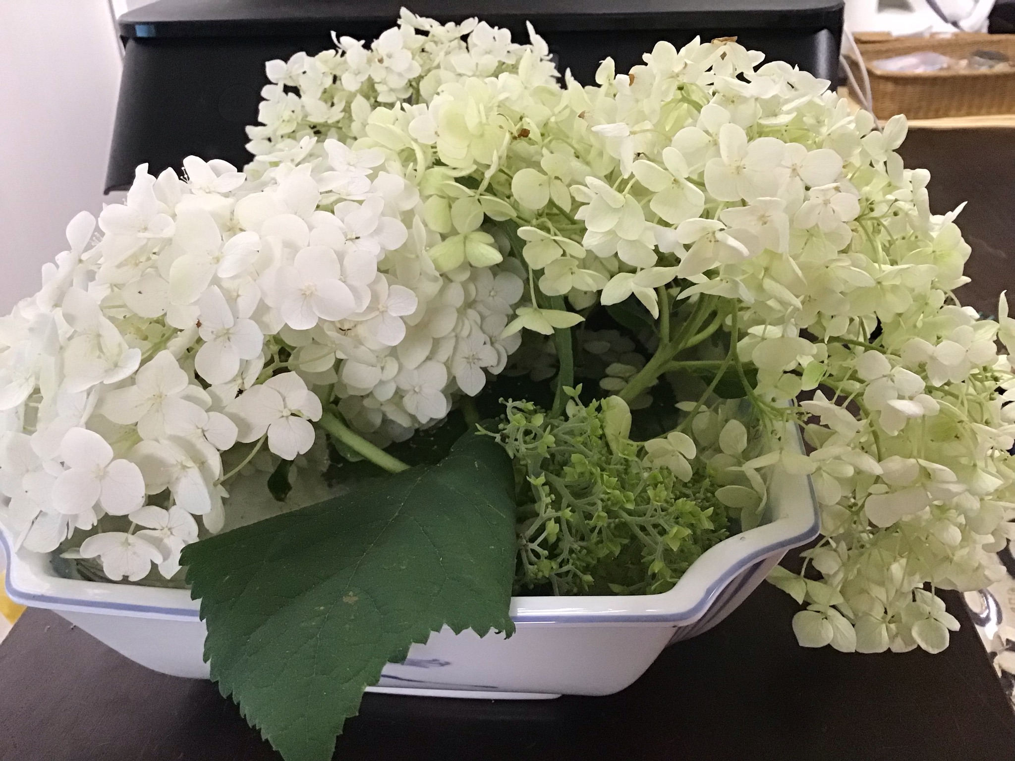 0e147073-122c-4538-9341-5f21b4d72e0a